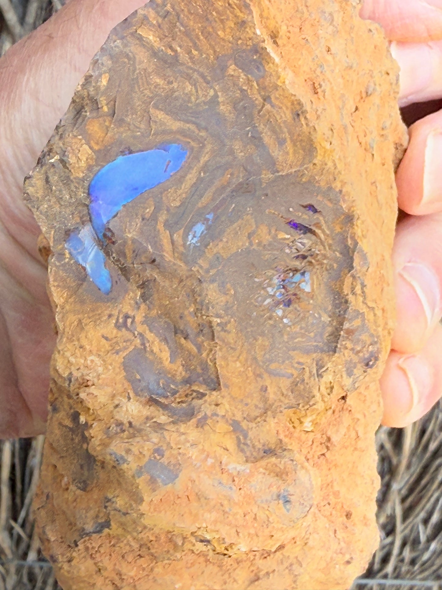 Piping Blue. Rough Boulder Opal Rock. 834 Grams