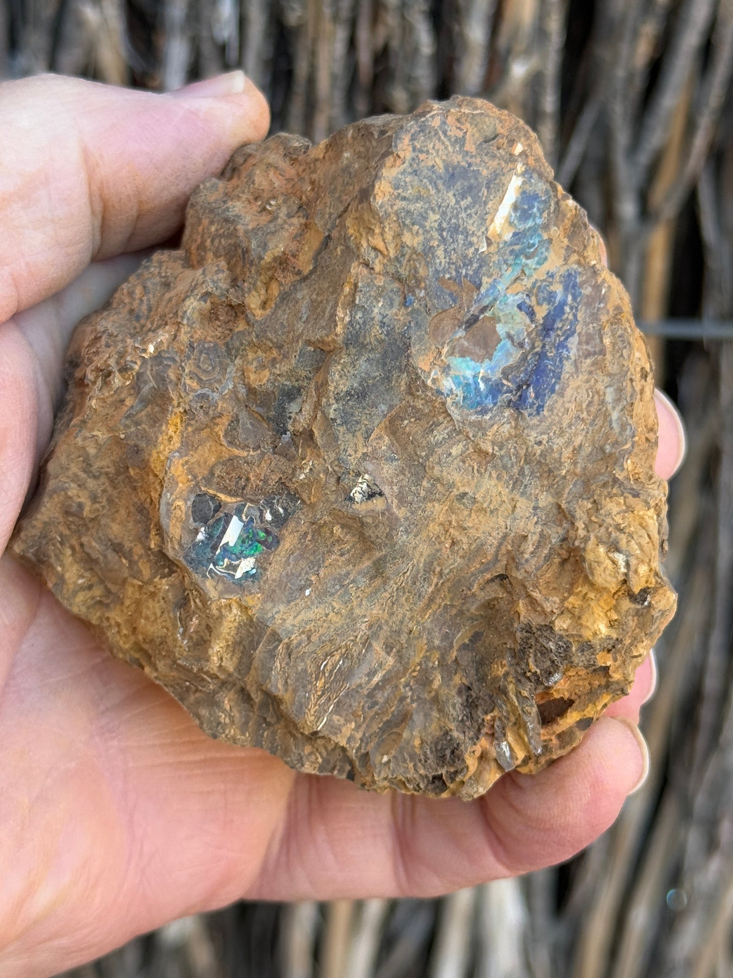 Burnished Green. Rough Boulder Opal Rock. 469 Grams