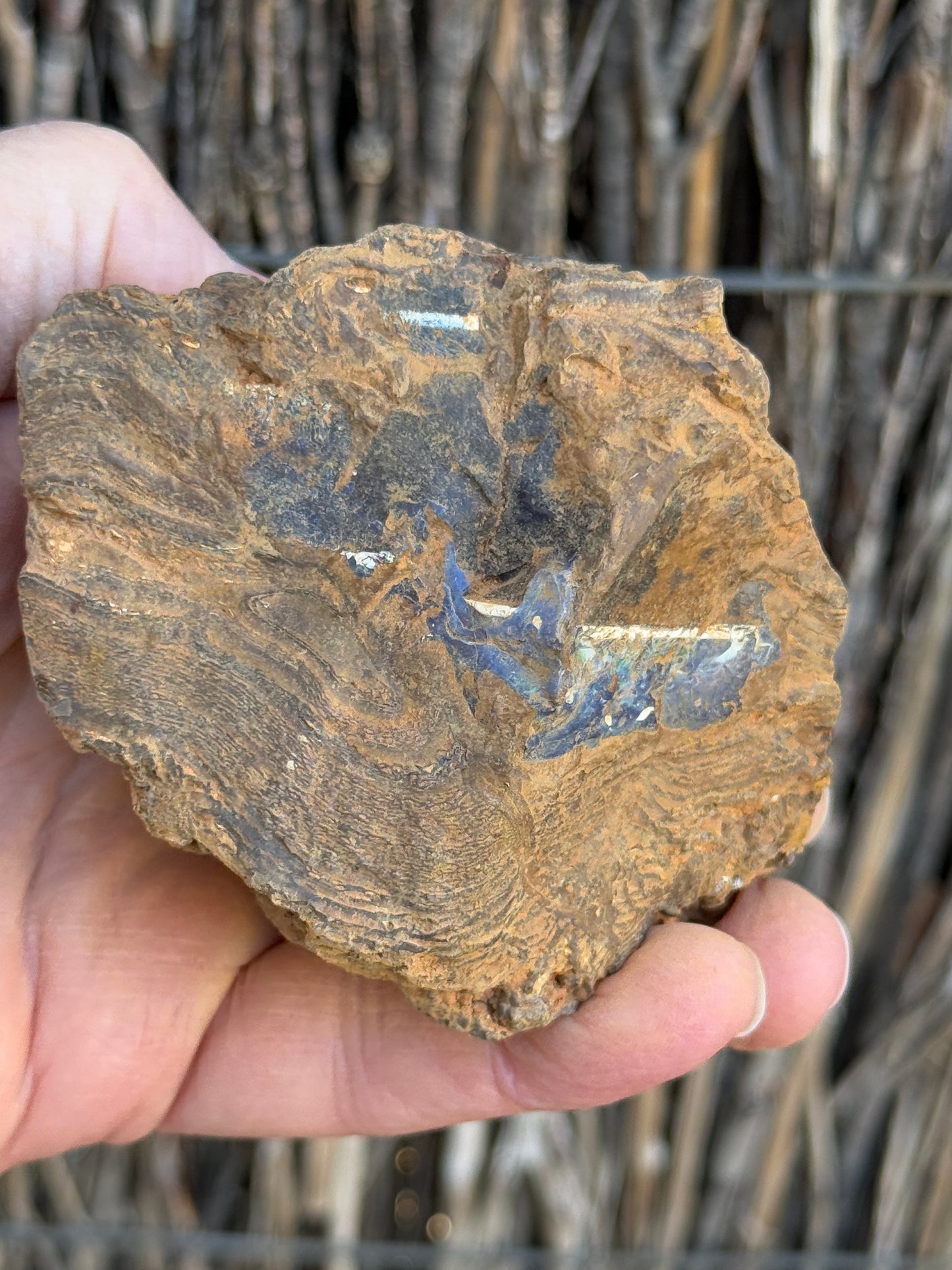 Burnished Green. Rough Boulder Opal Rock. 469 Grams