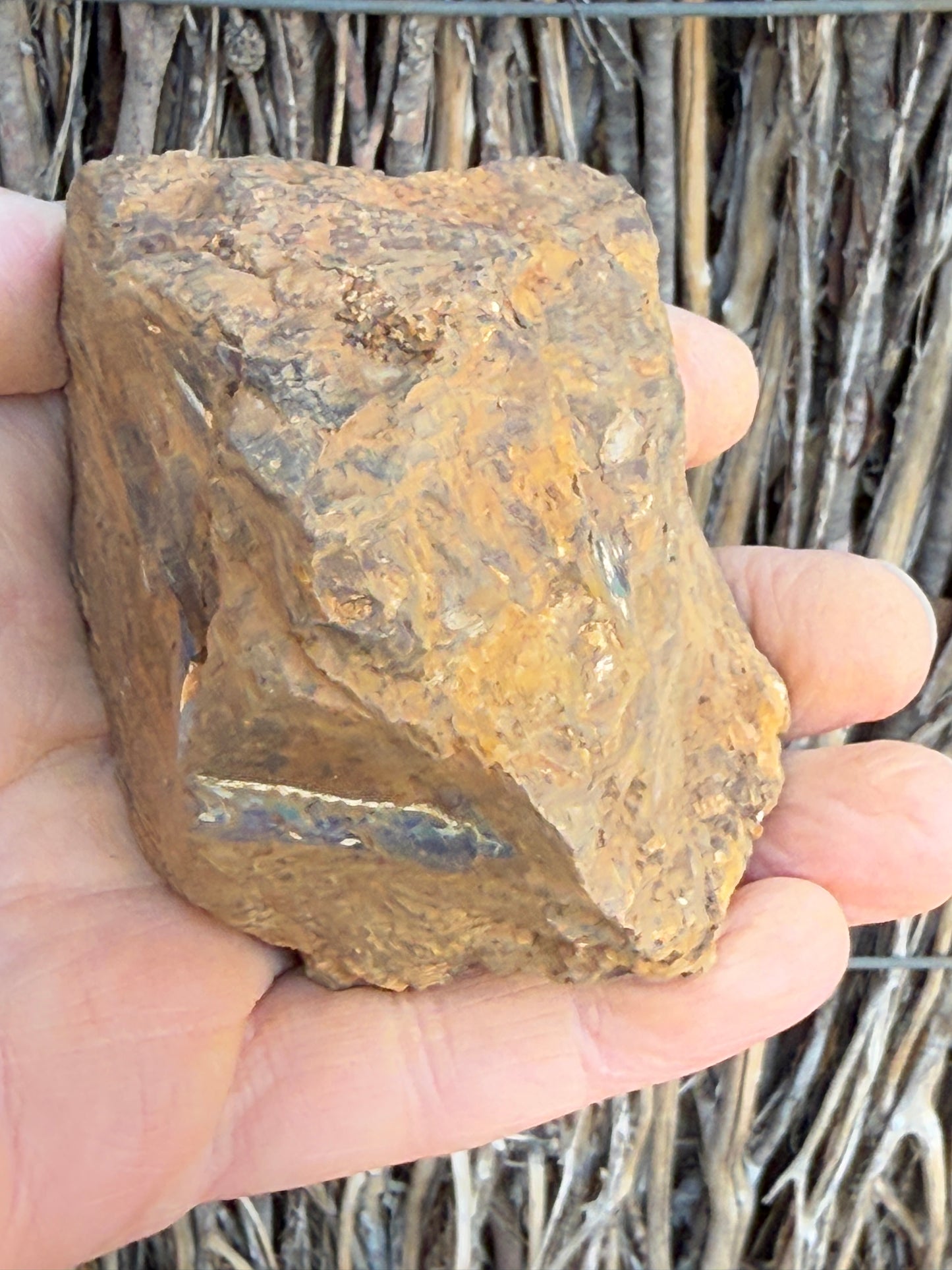 Burnished Green. Rough Boulder Opal Rock. 469 Grams