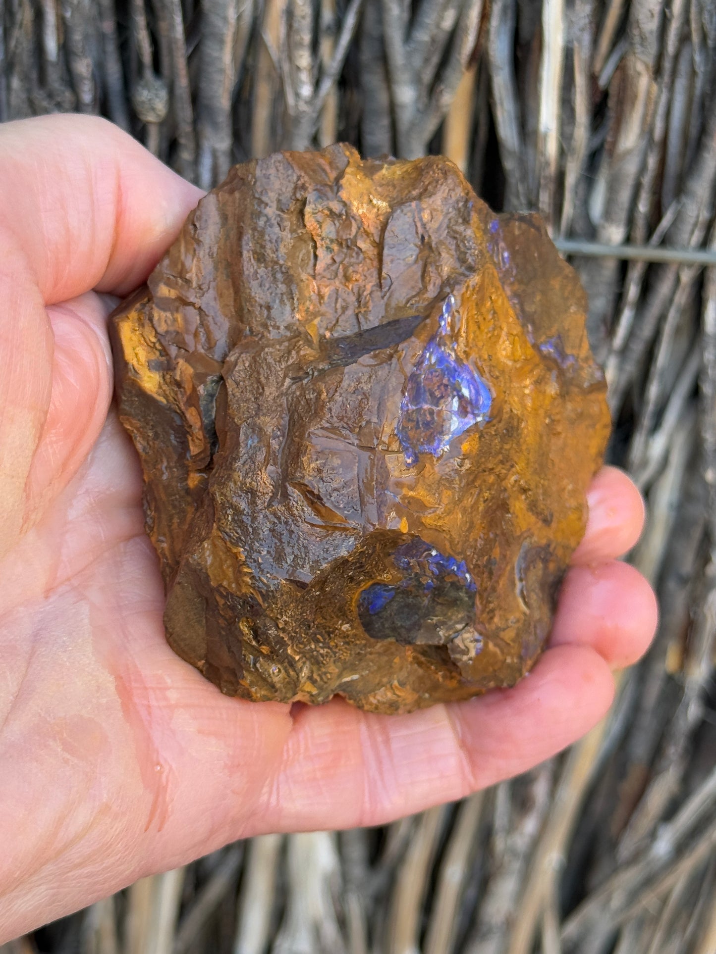 Colour Starter. Rough Boulder Opal Rock. 421 Grams
