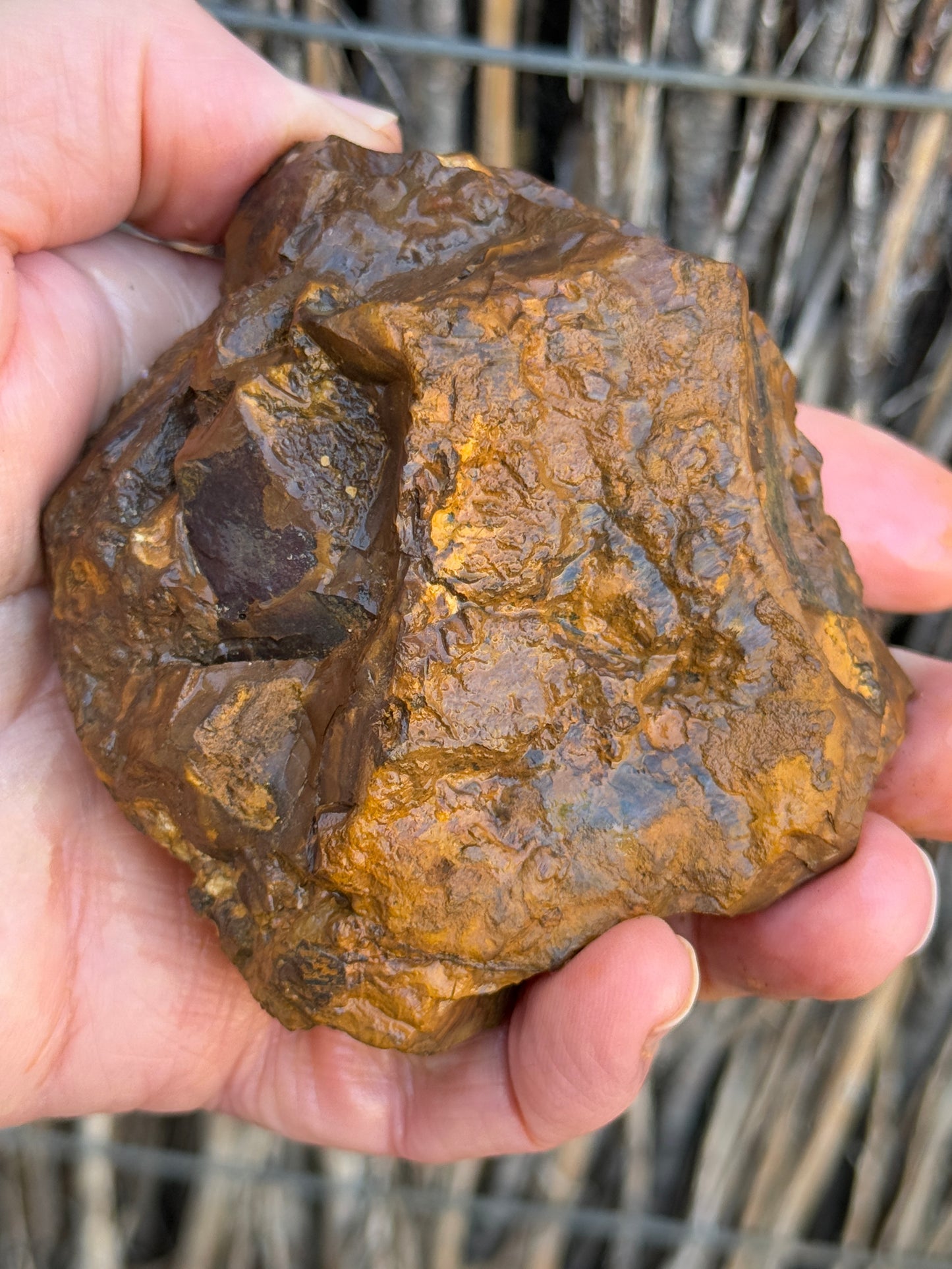 Colour Starter. Rough Boulder Opal Rock. 421 Grams