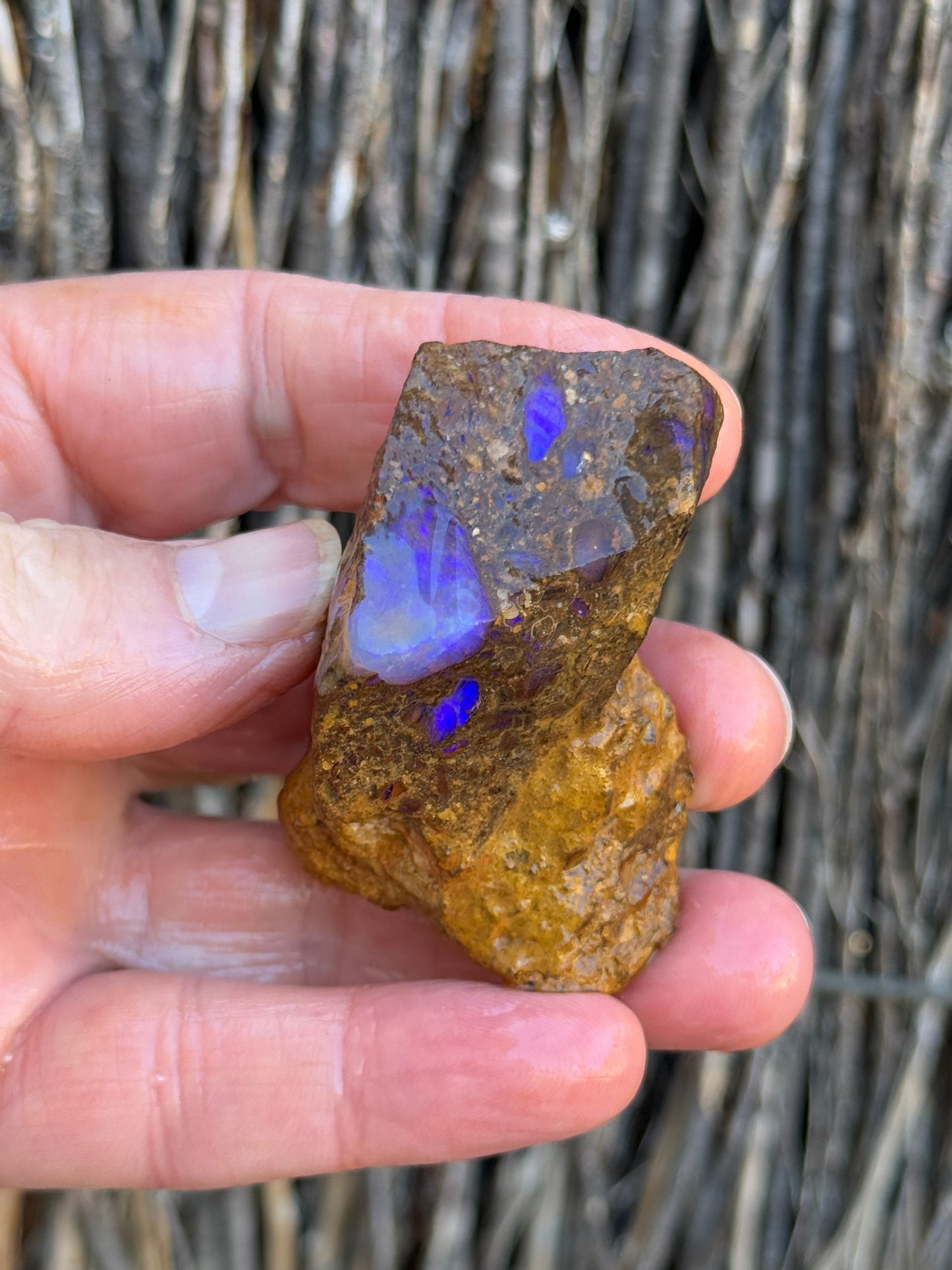 Super Stud. Rough Boulder Opal Rock. 79 Grams