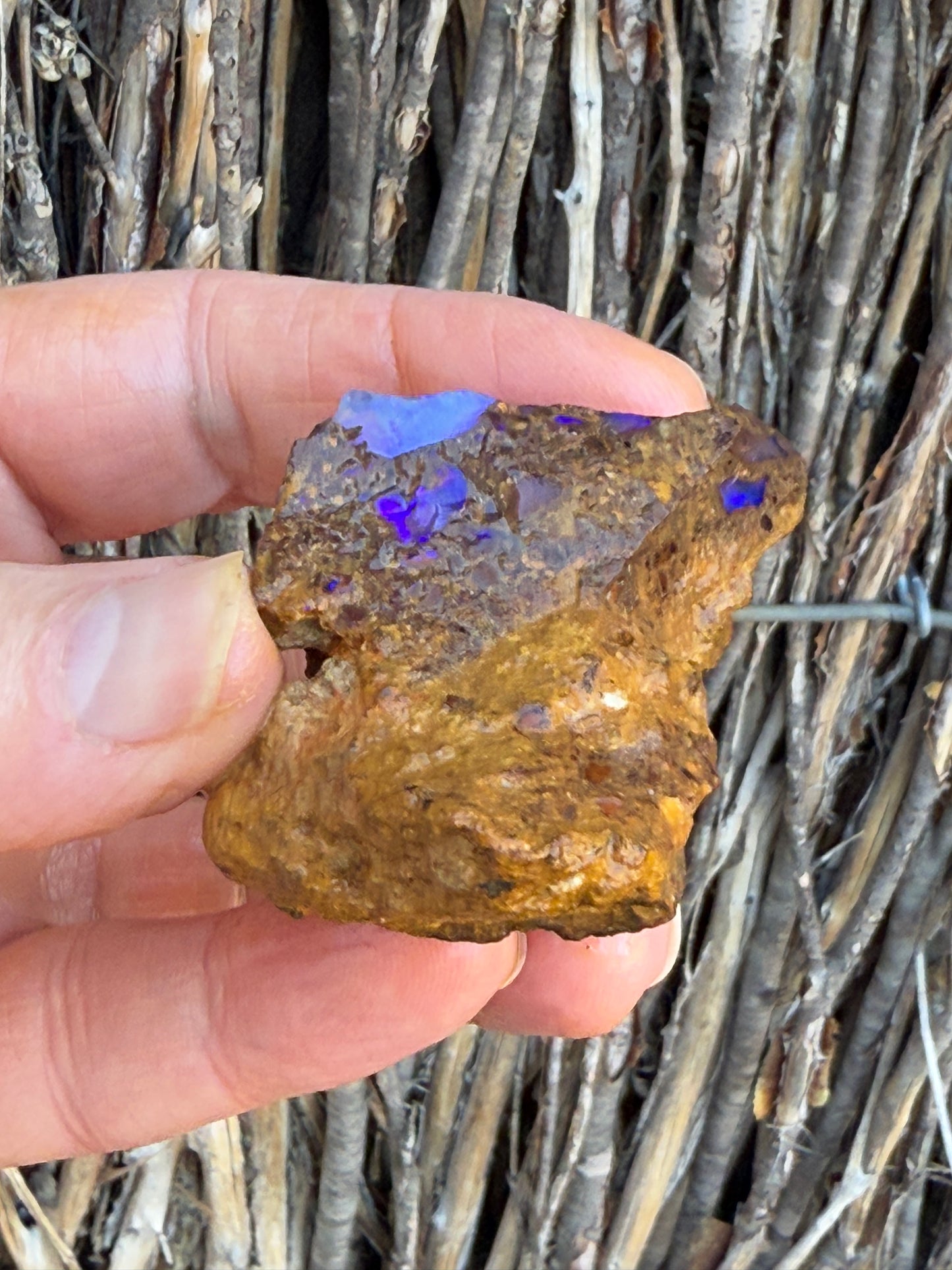 Super Stud. Rough Boulder Opal Rock. 79 Grams