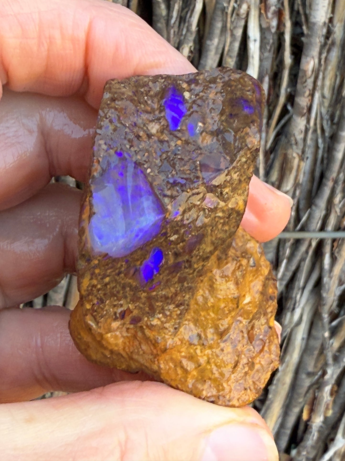 Super Stud. Rough Boulder Opal Rock. 79 Grams
