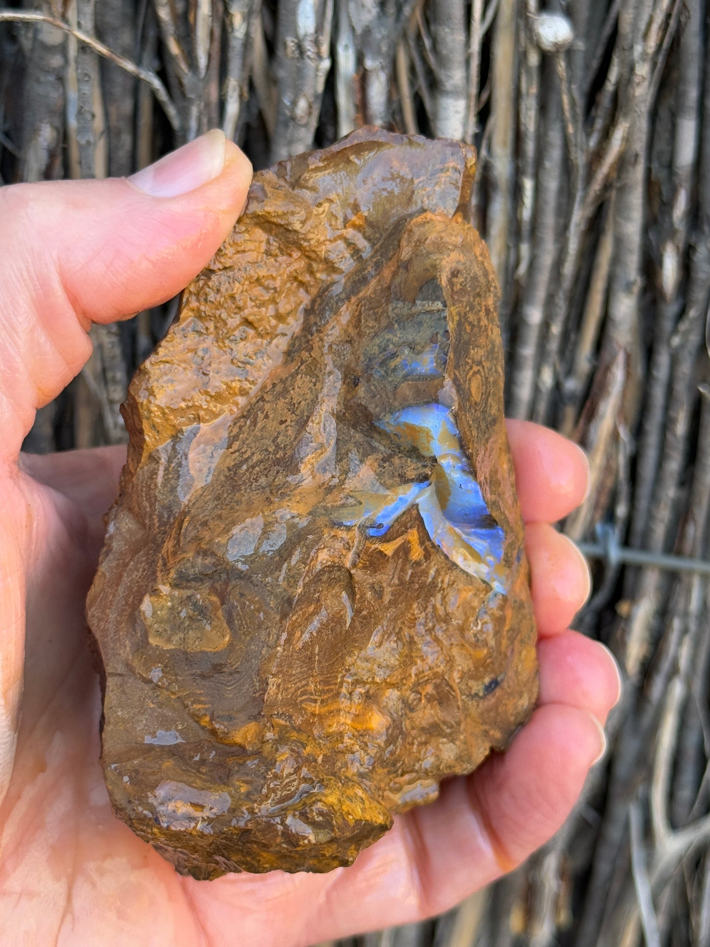 Double Seams. Rough Boulder Opal Rock. 526 Grams