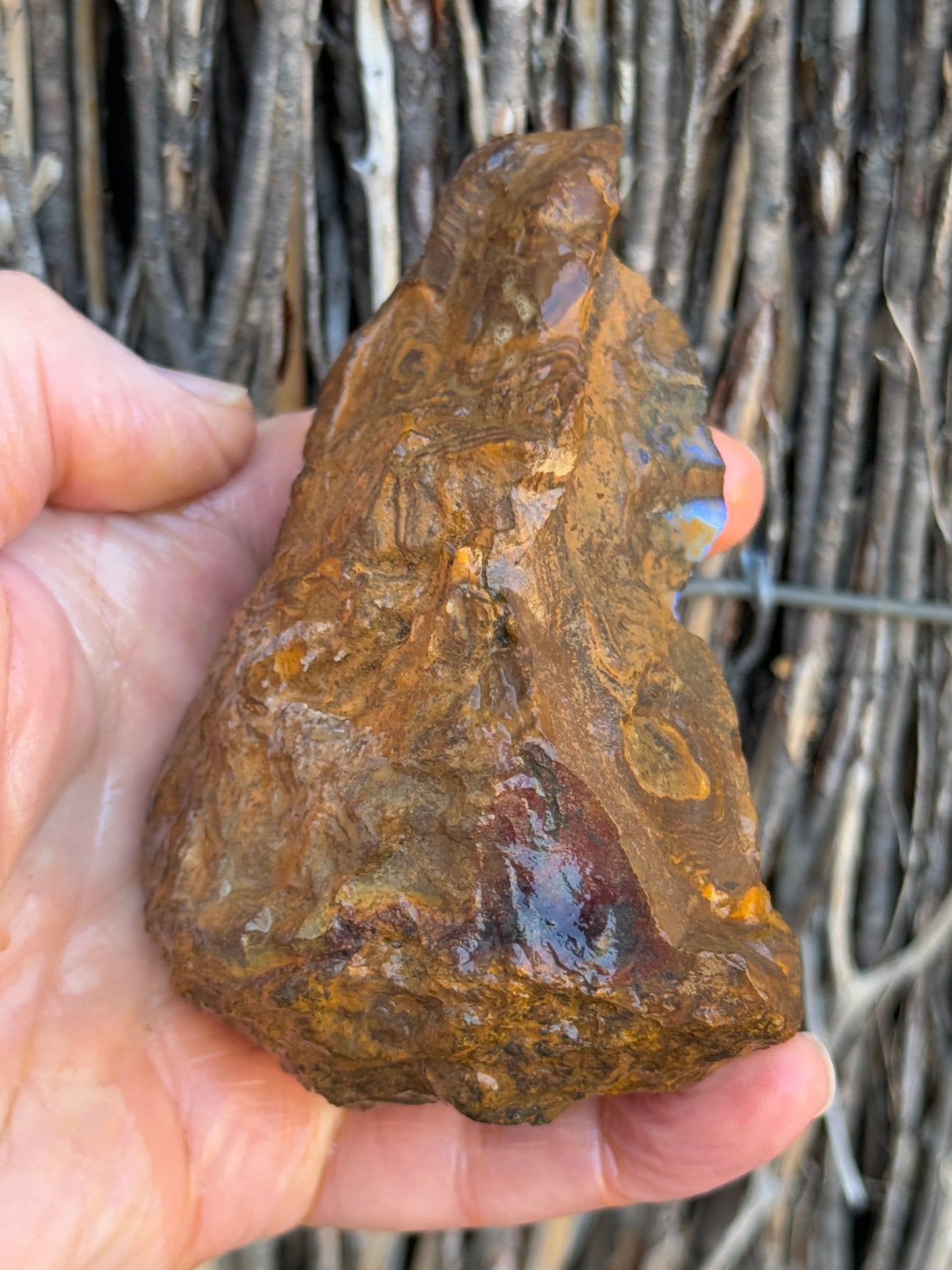 Double Seams. Rough Boulder Opal Rock. 526 Grams