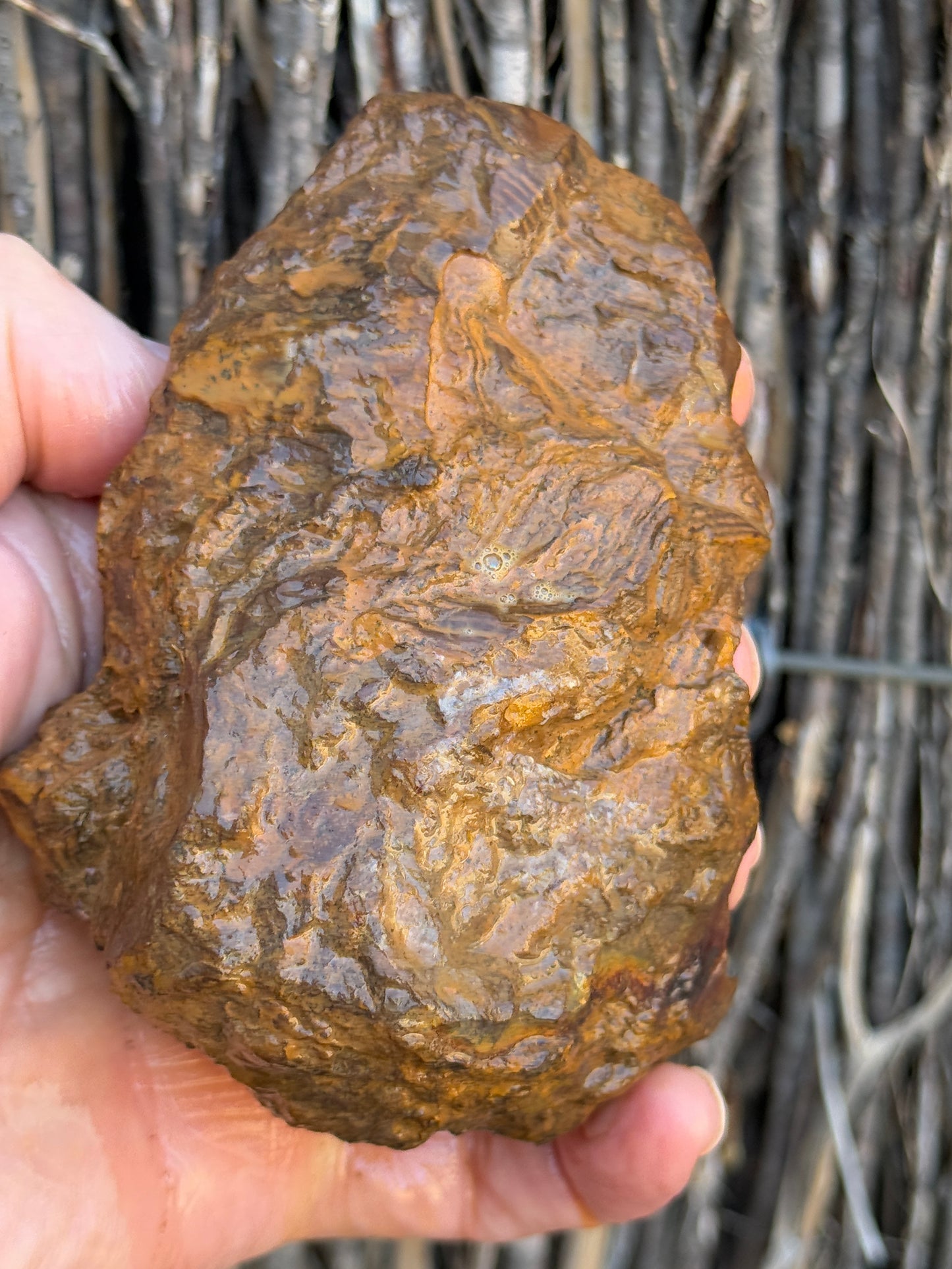 Double Seams. Rough Boulder Opal Rock. 526 Grams