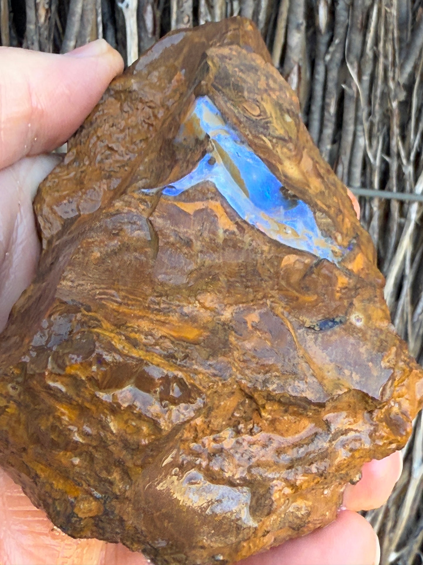 Double Seams. Rough Boulder Opal Rock. 526 Grams