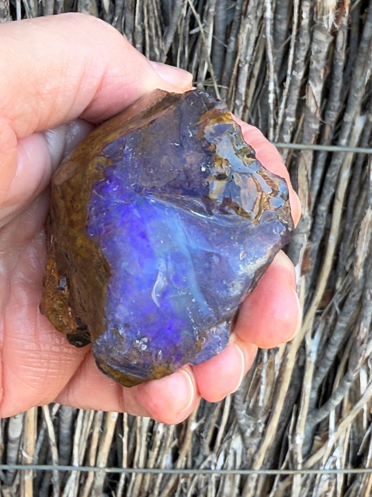 Opal All-Rounder. Rough Boulder Opal Rock. 281 Grams