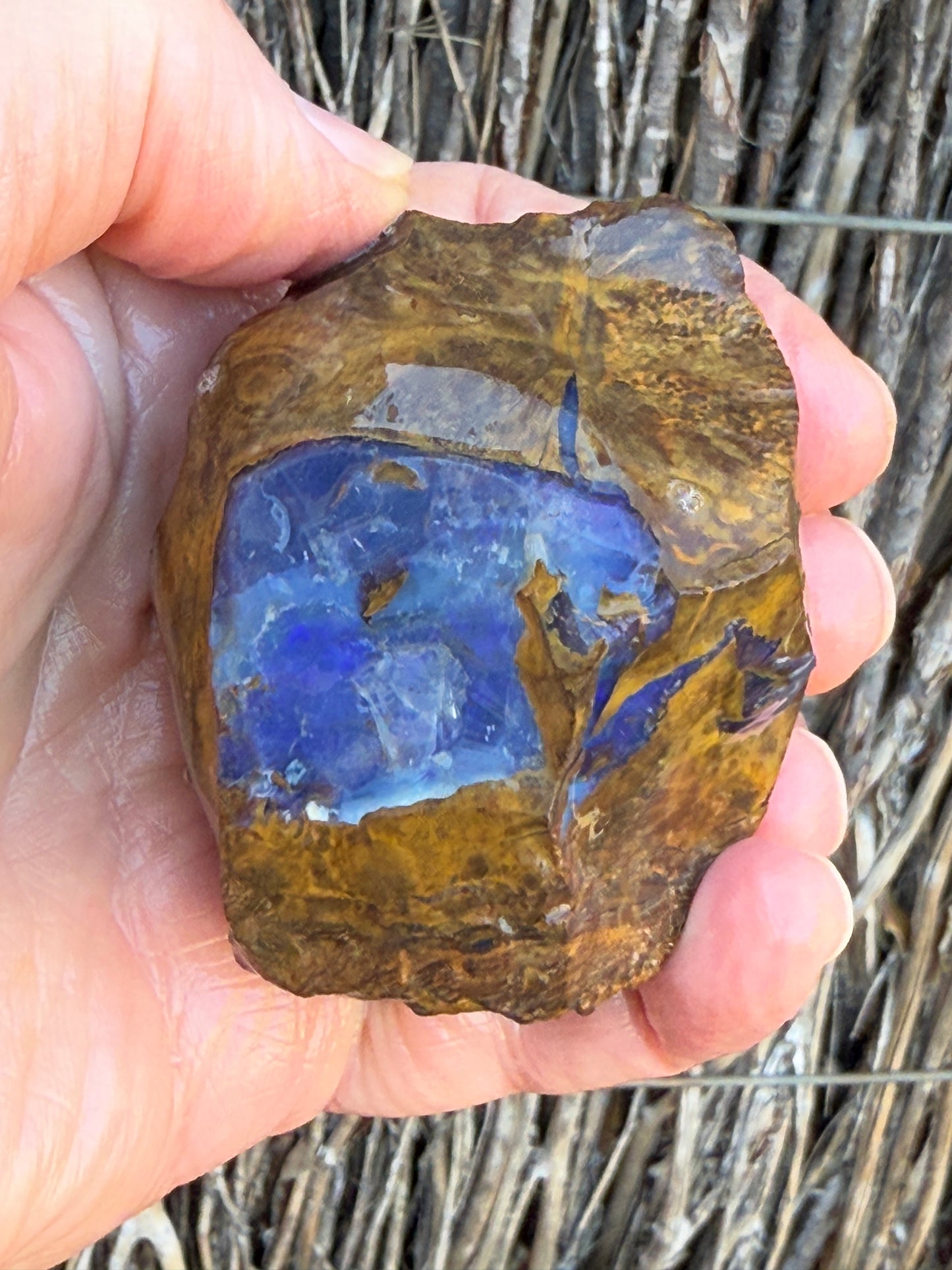 Opal All-Rounder. Rough Boulder Opal Rock. 281 Grams