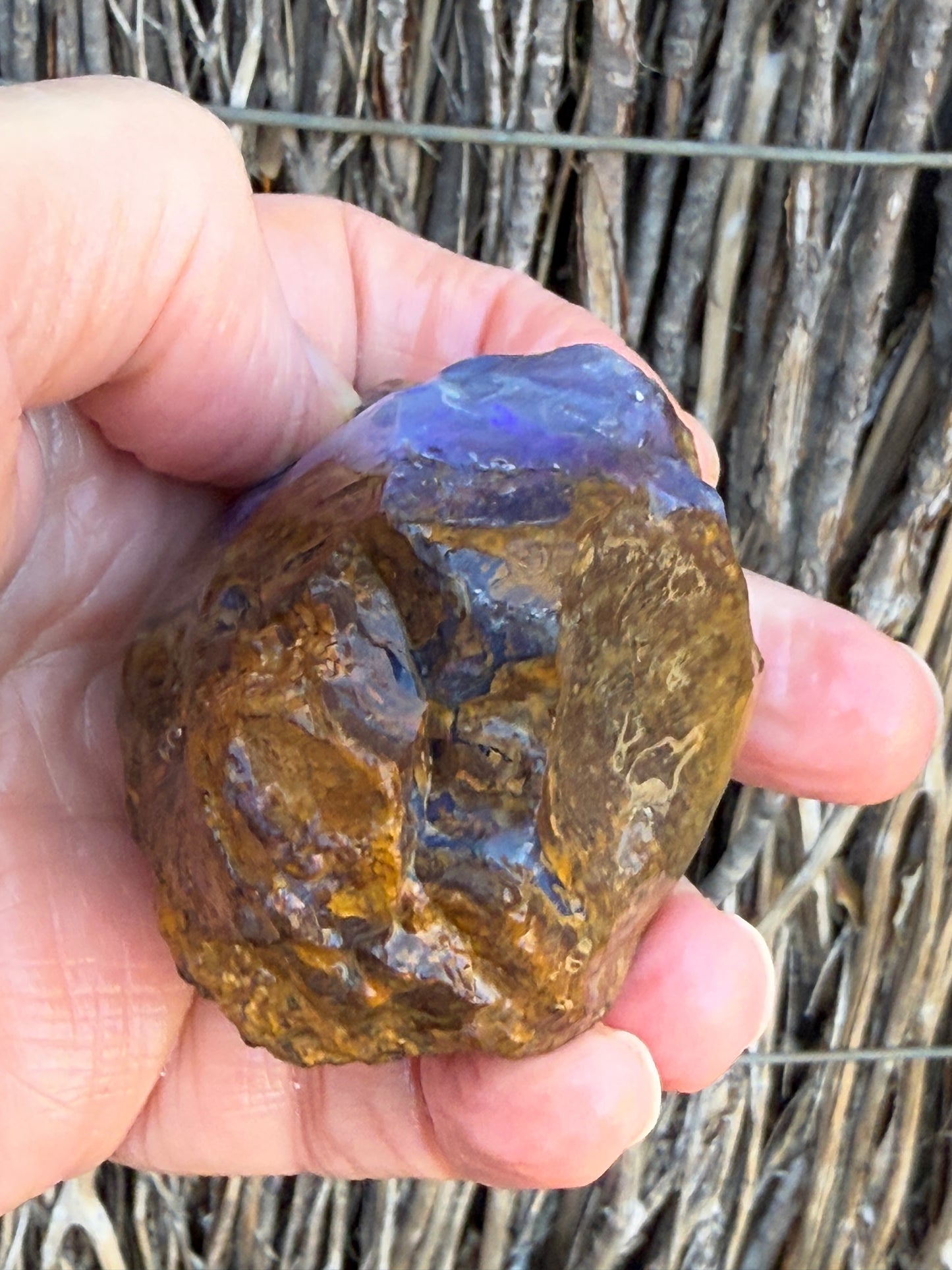 Opal All-Rounder. Rough Boulder Opal Rock. 281 Grams