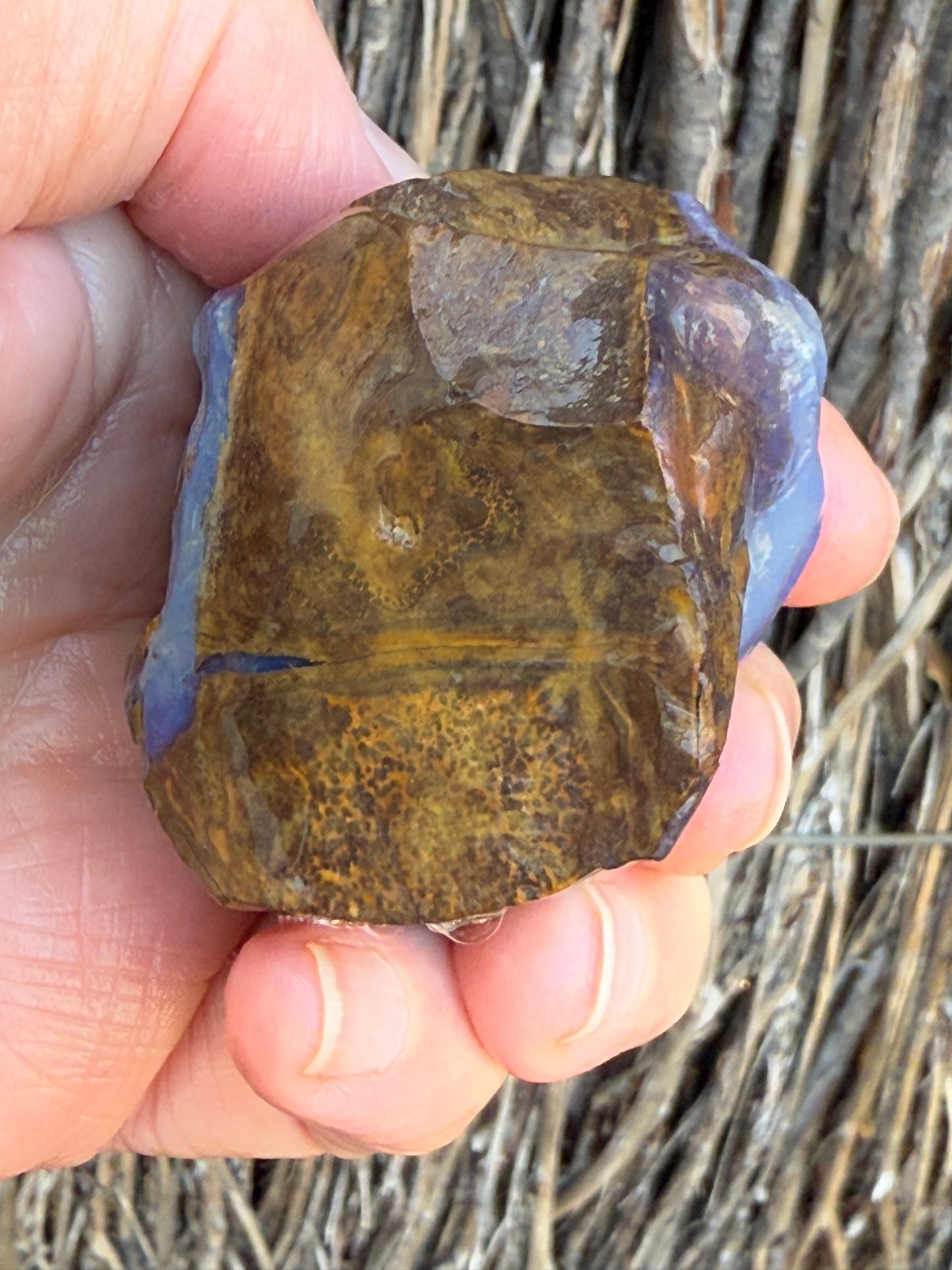 Opal All-Rounder. Rough Boulder Opal Rock. 281 Grams