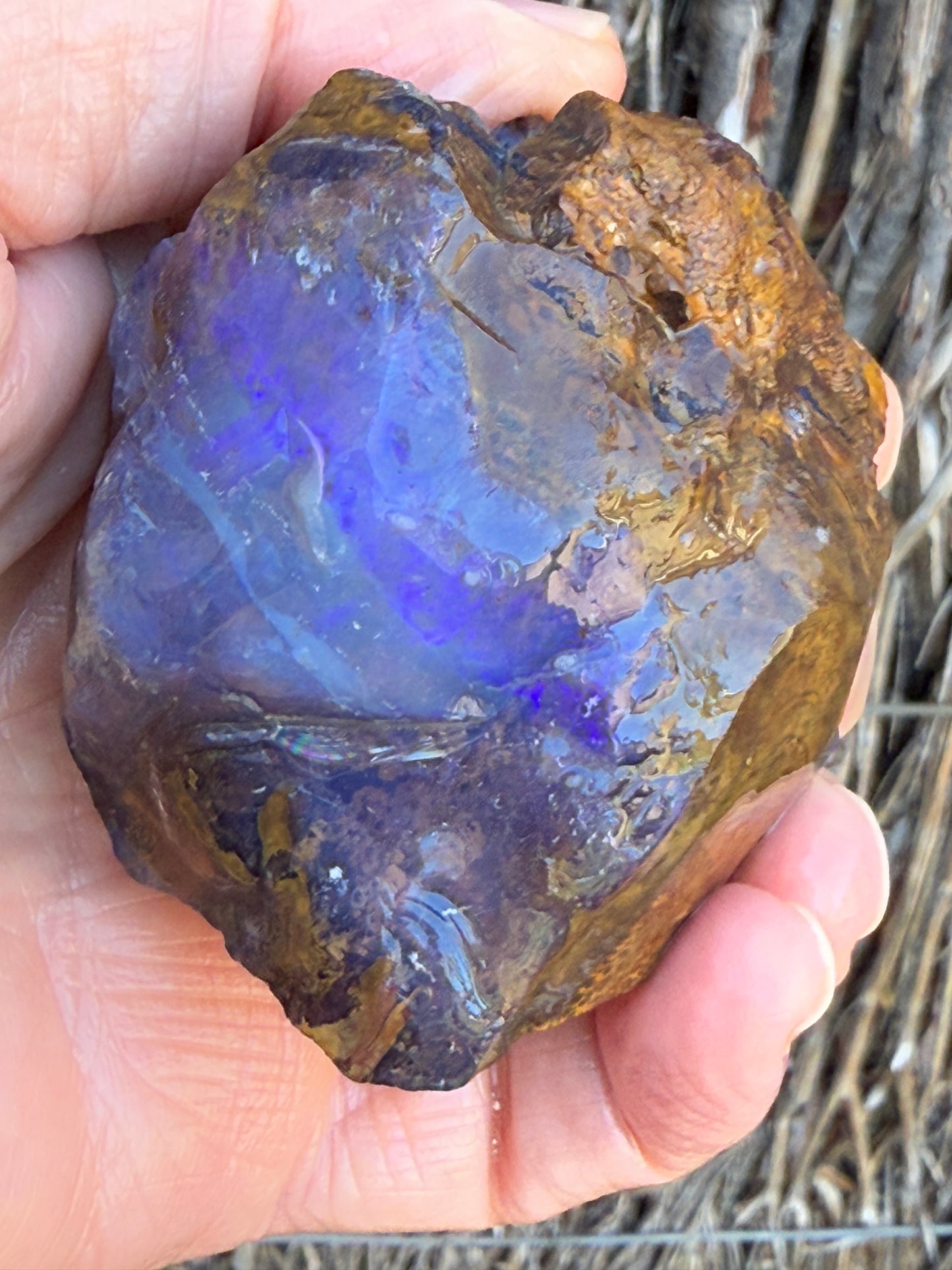 Opal All-Rounder. Rough Boulder Opal Rock. 281 Grams