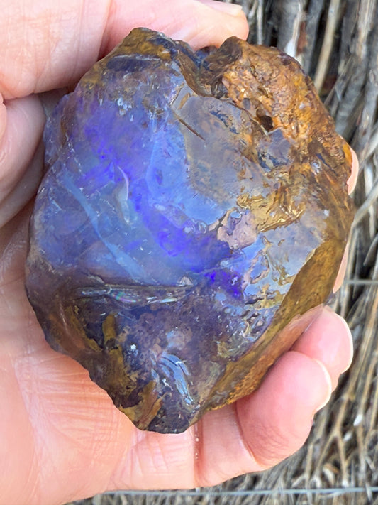 Opal All-Rounder. Rough Boulder Opal Rock. 281 Grams
