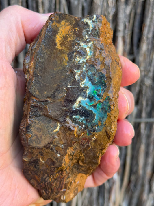 Green Waves. Rough Boulder Opal Rock. 589 Grams