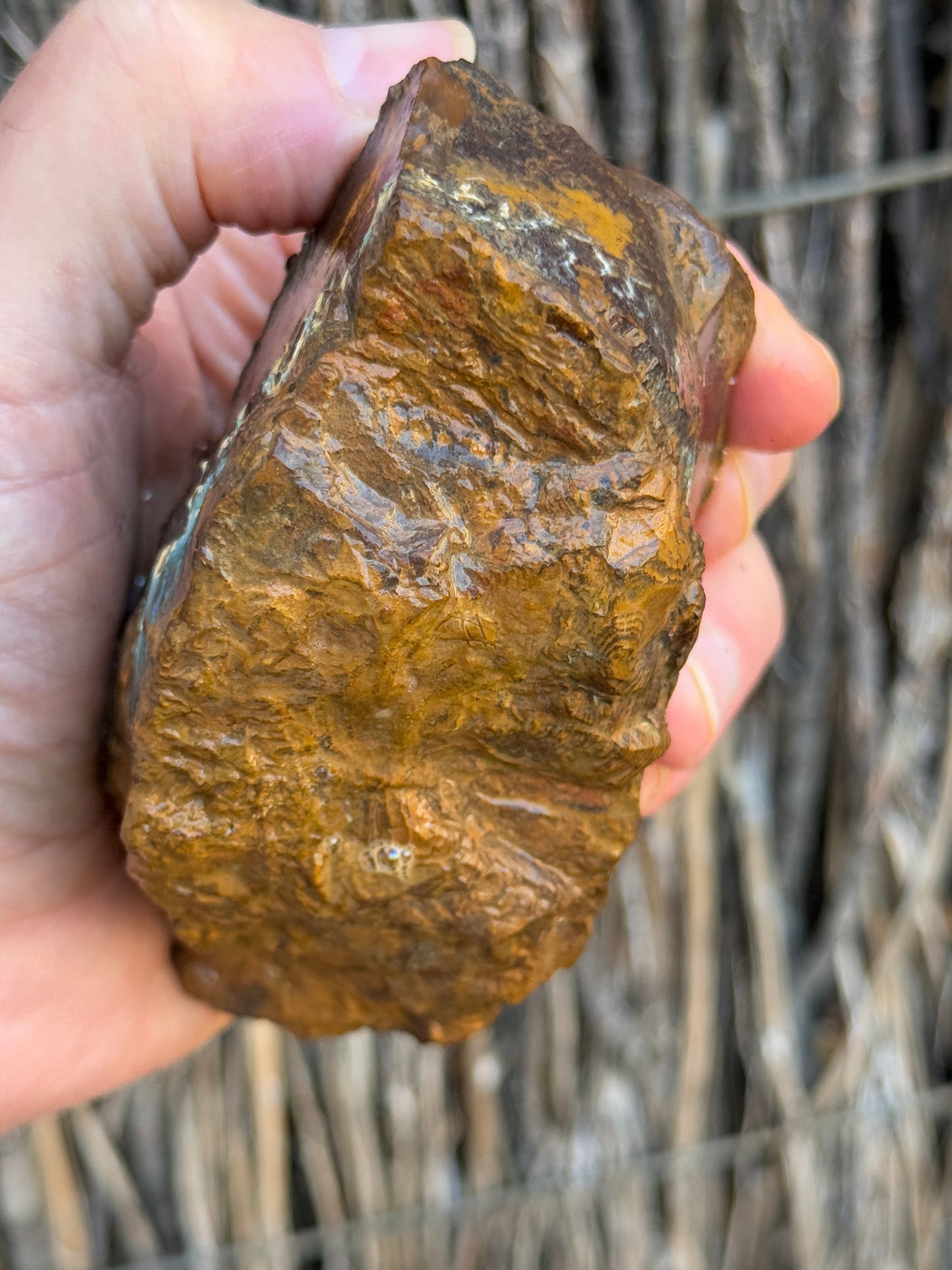 Green Waves. Rough Boulder Opal Rock. 589 Grams