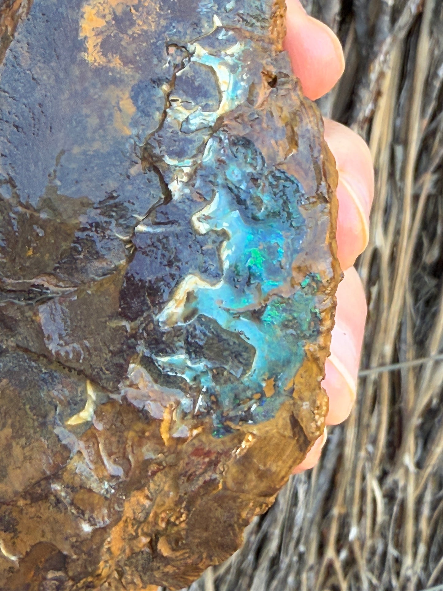 Green Waves. Rough Boulder Opal Rock. 589 Grams