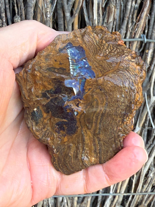 Burnished Green. Rough Boulder Opal Rock. 469 Grams