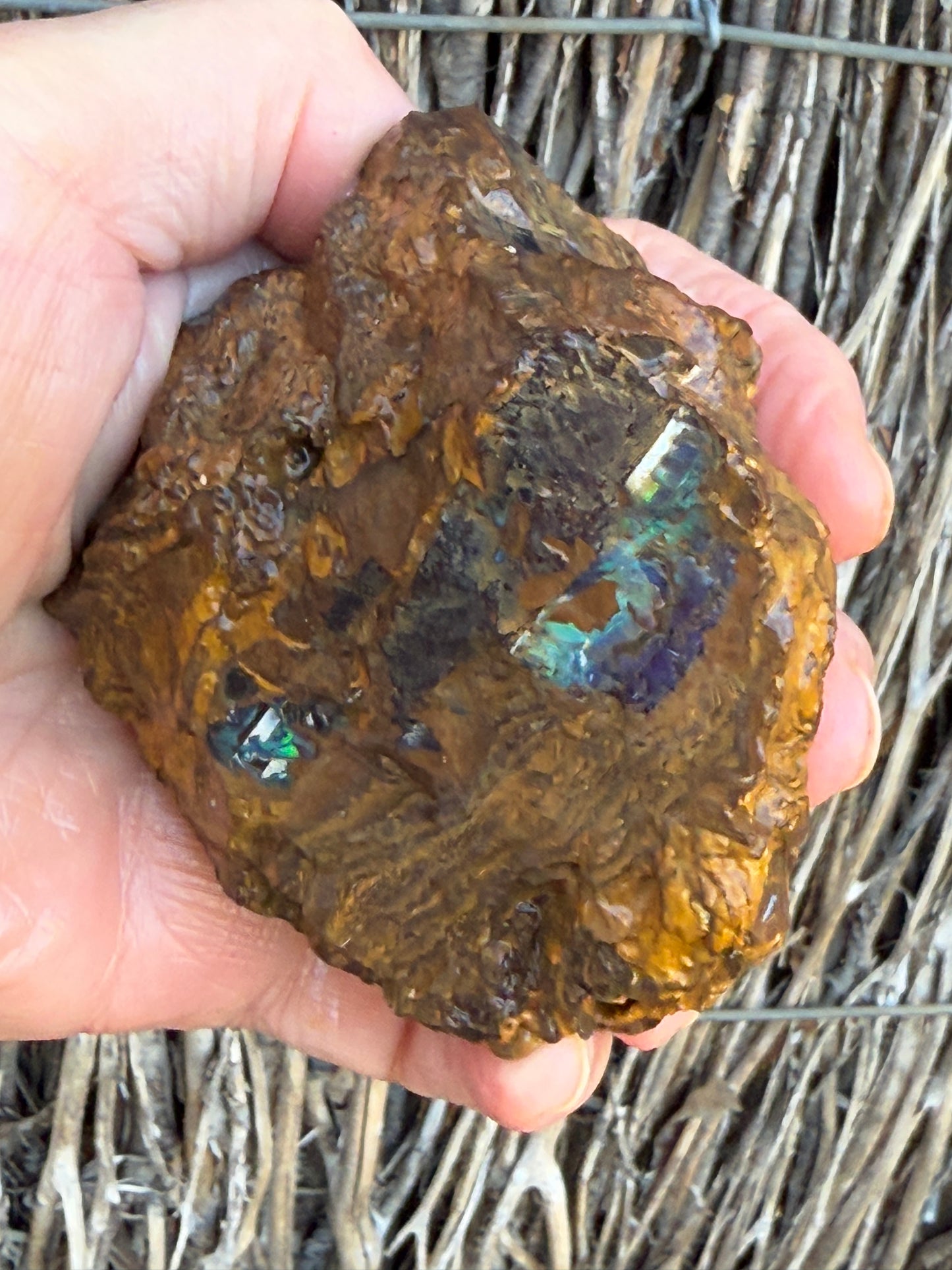 Burnished Green. Rough Boulder Opal Rock. 469 Grams