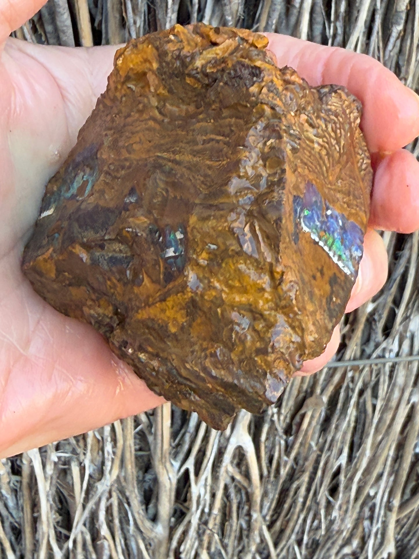 Burnished Green. Rough Boulder Opal Rock. 469 Grams