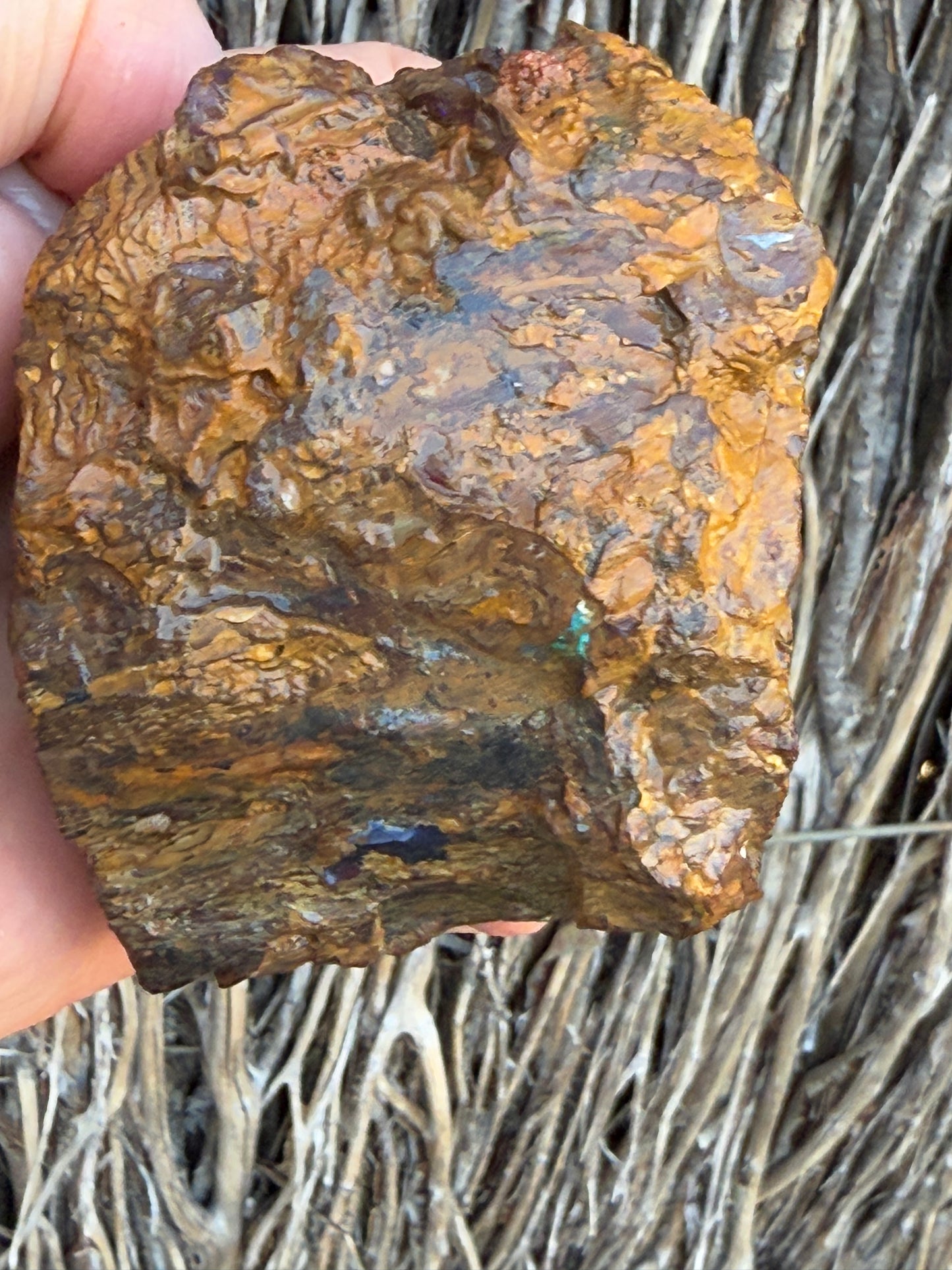 Burnished Green. Rough Boulder Opal Rock. 469 Grams