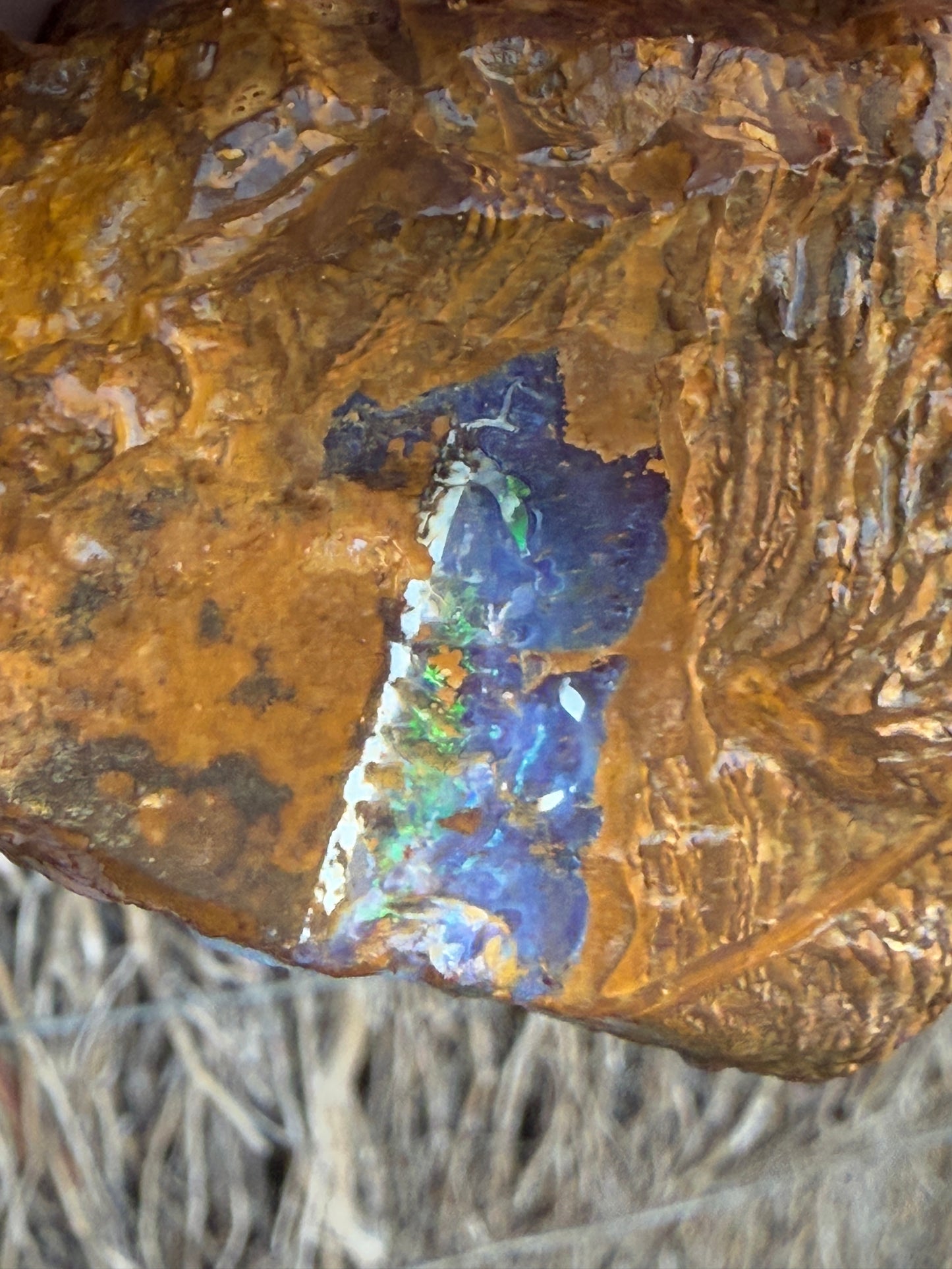 Burnished Green. Rough Boulder Opal Rock. 469 Grams