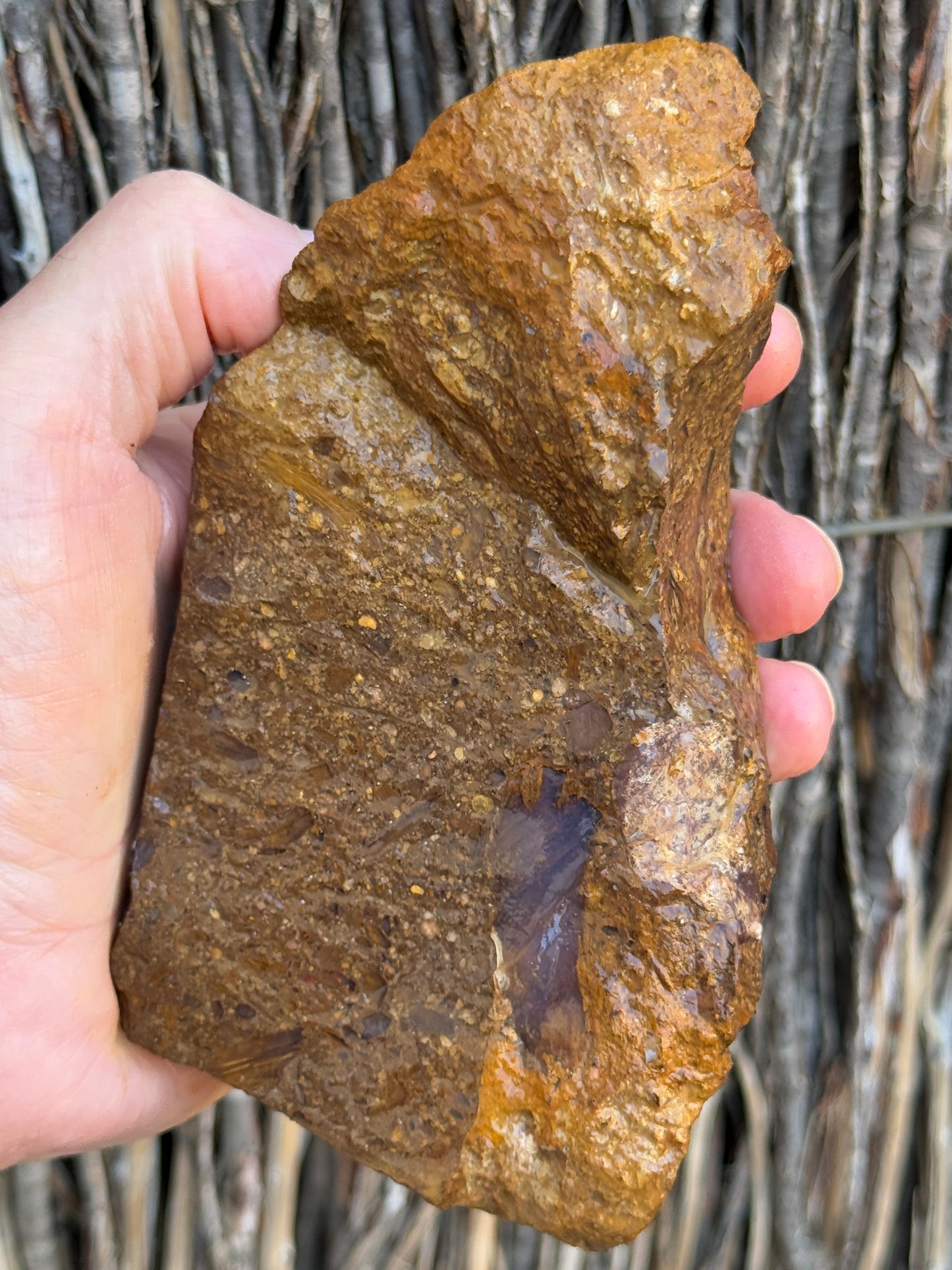 Studded Crystals. Rough Boulder Opal Rock. 617 Grams
