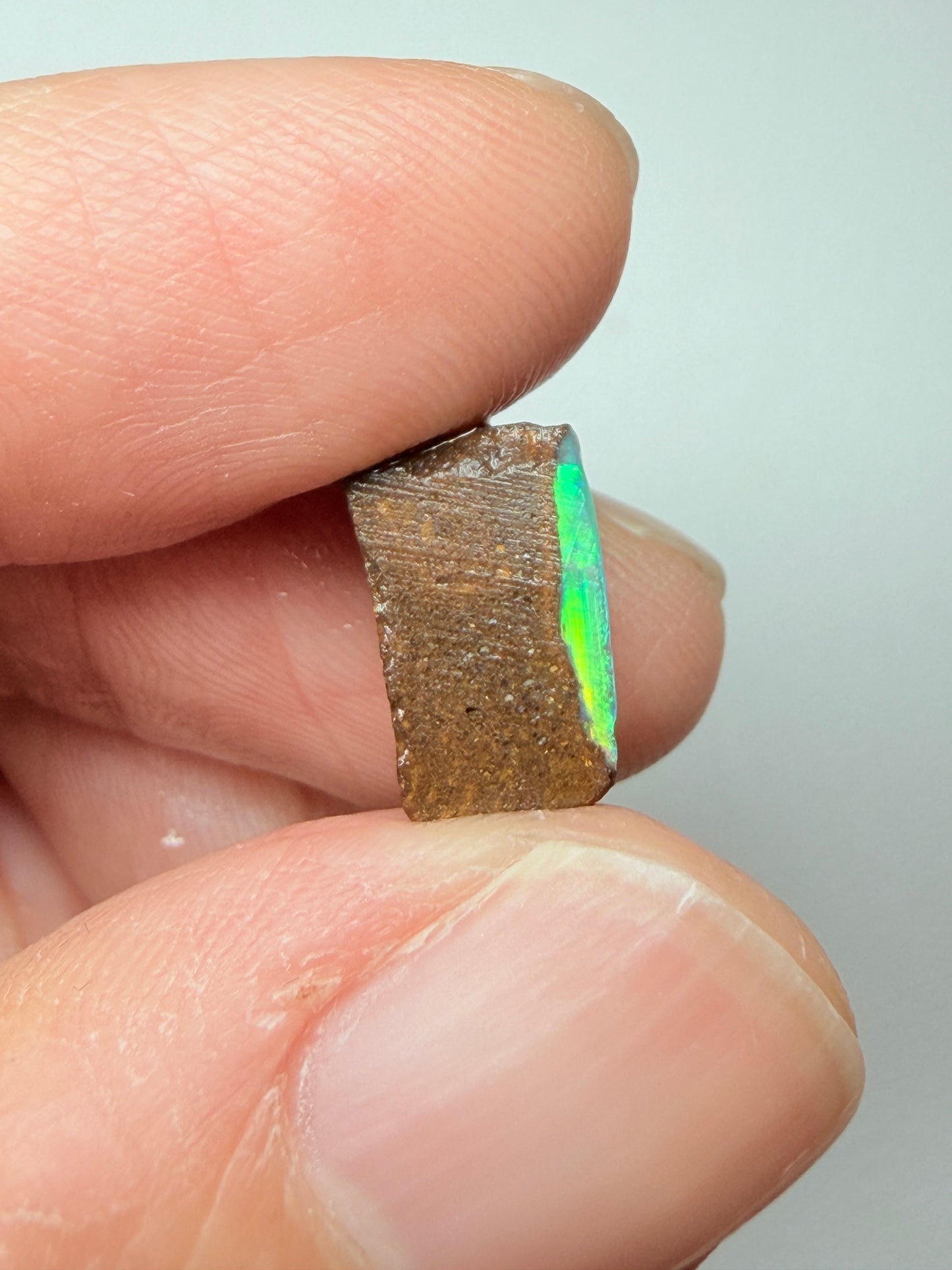 Boulder Opal Natural Single Split. 10.50 Carats