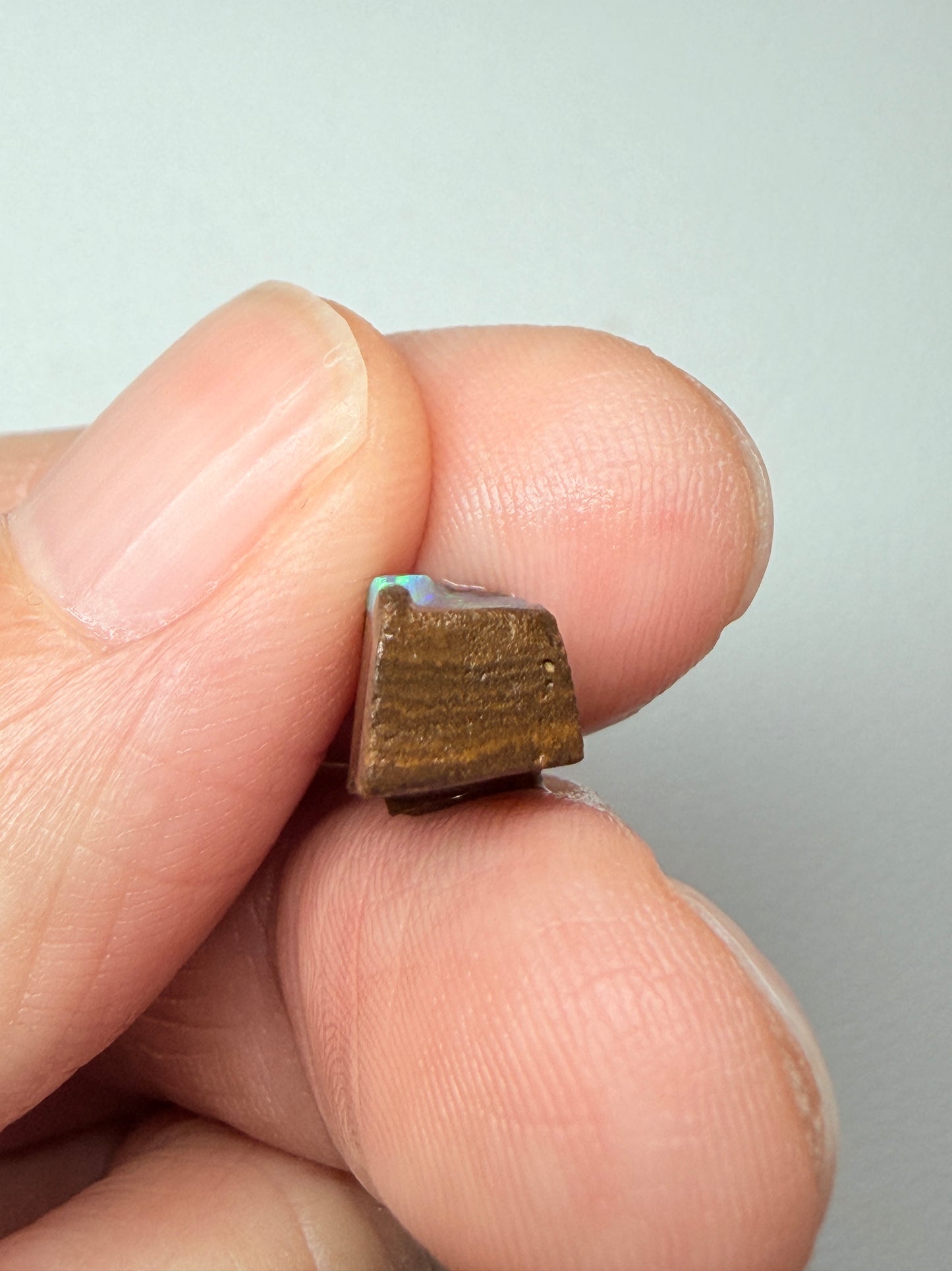 Boulder Opal Natural Single Split. 10.50 Carats