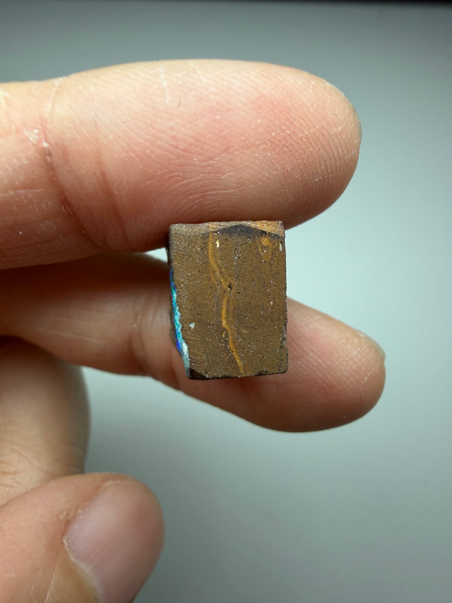 Boulder Opal Natural Single Split. 10.50 Carats