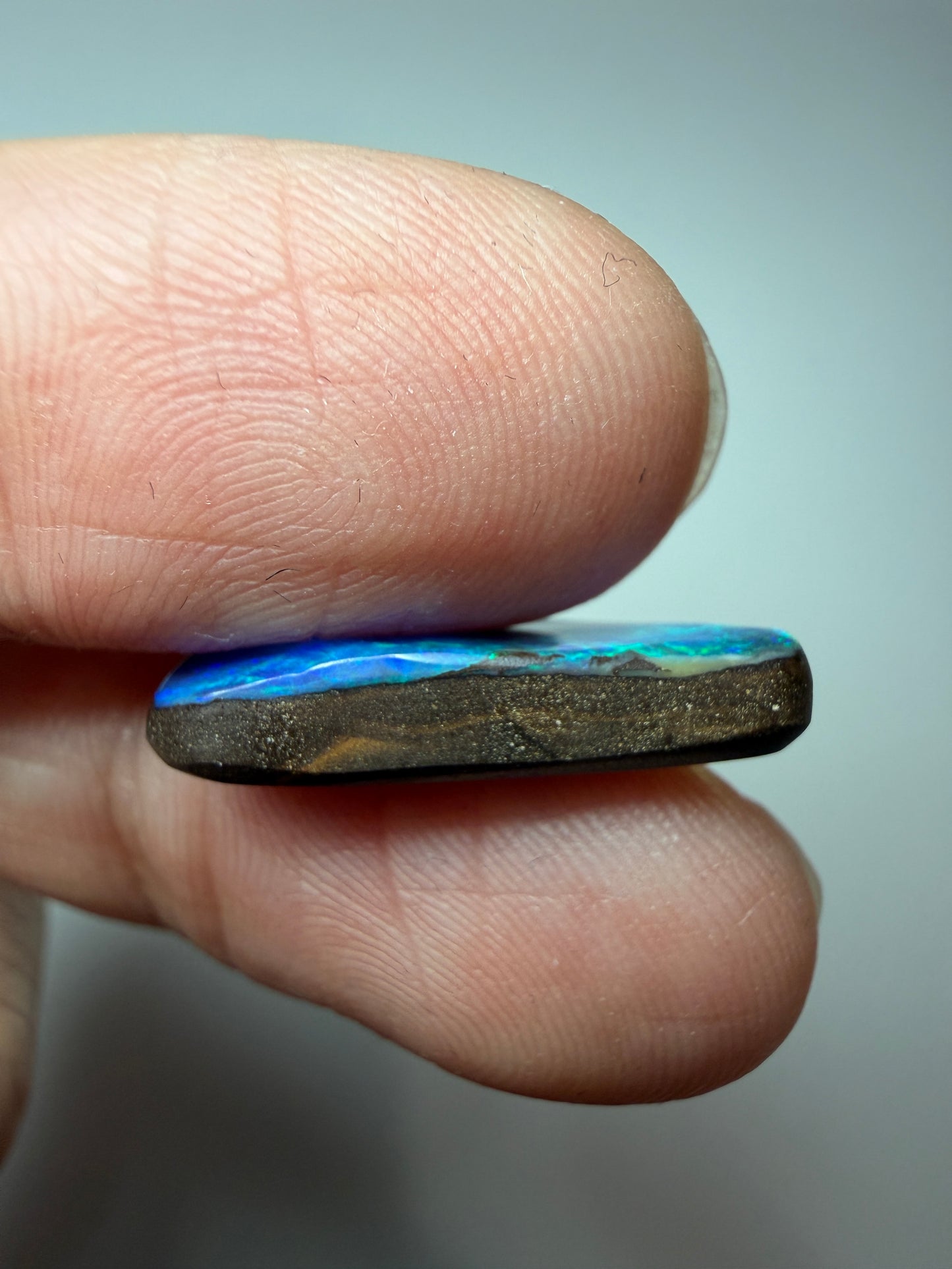 Cyan Wing. Solid Boulder Opal. 5.75 Ct