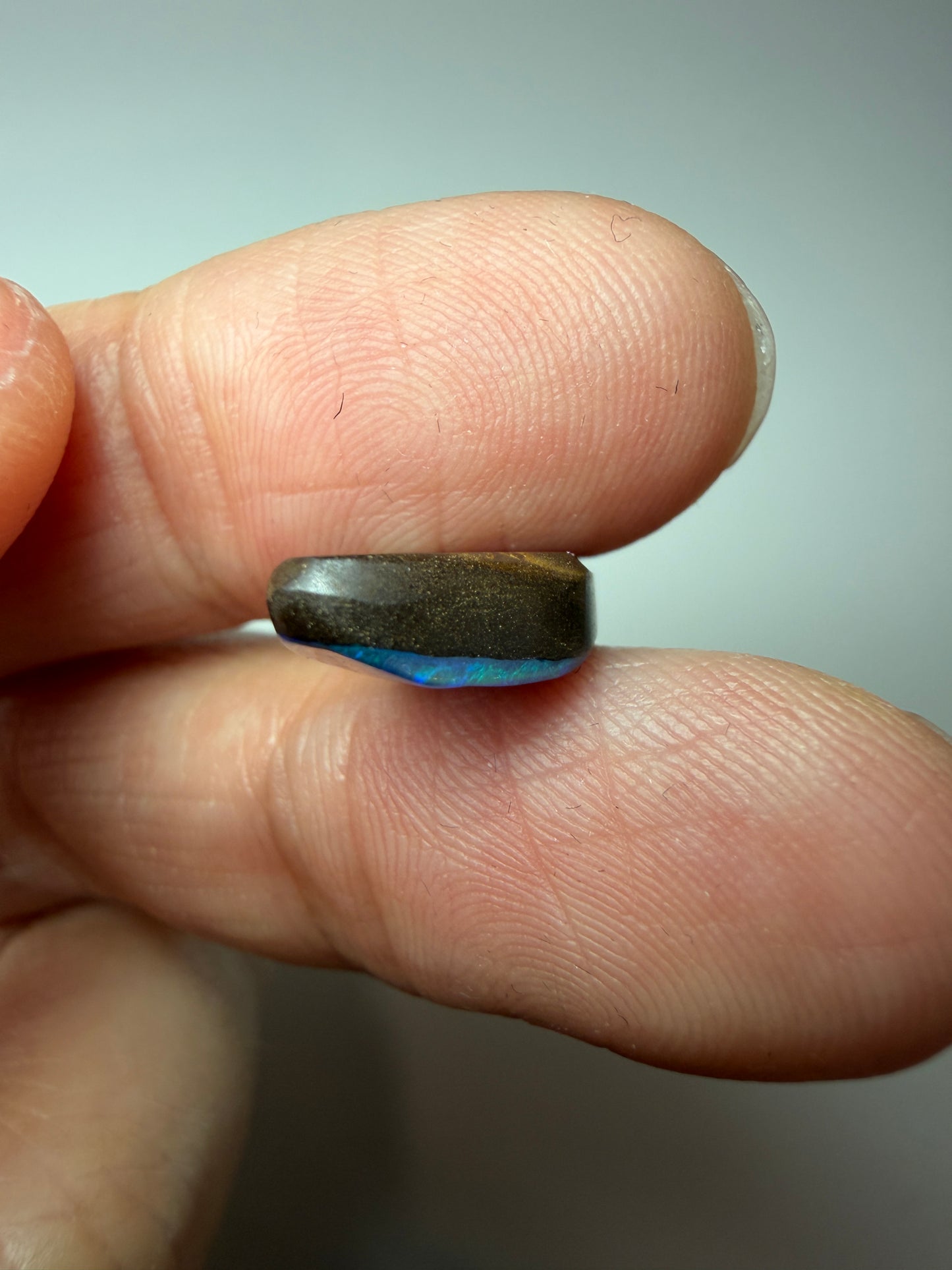 Cyan Wing. Solid Boulder Opal. 5.75 Ct