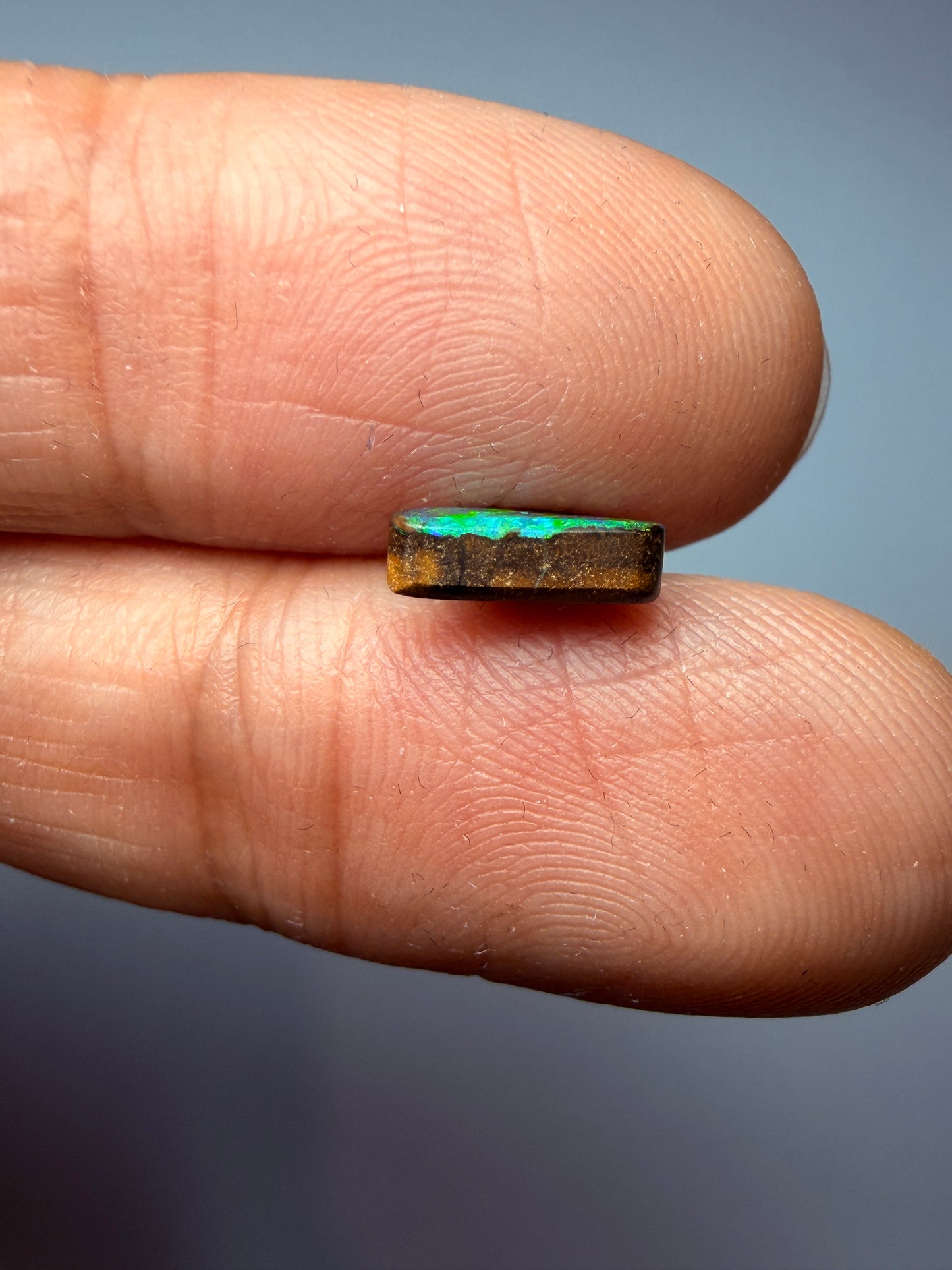 Falling Leaf. Solid Boulder Opal. 1.25 Ct