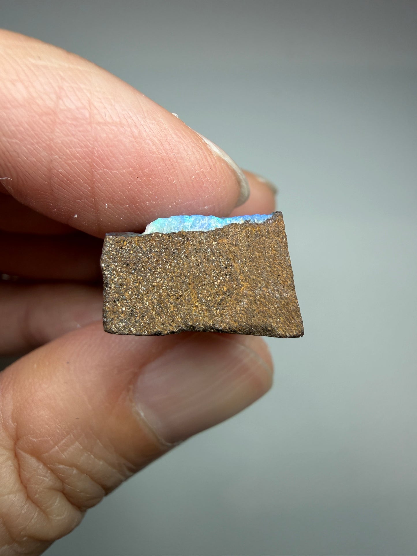 Boulder Opal Natural Single Split. 23.50 Carats