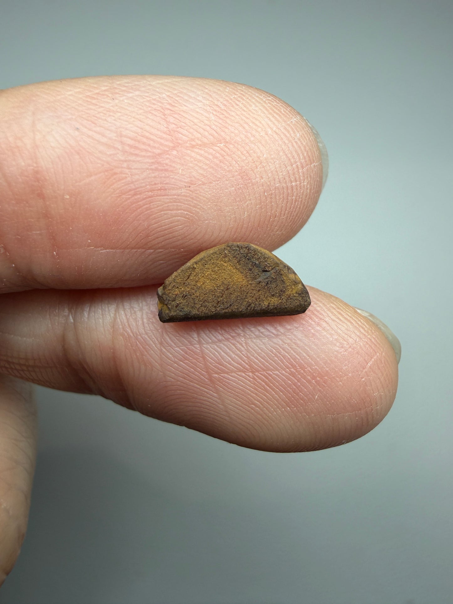 Boulder Opal Natural Single Split. 8.75 Carats