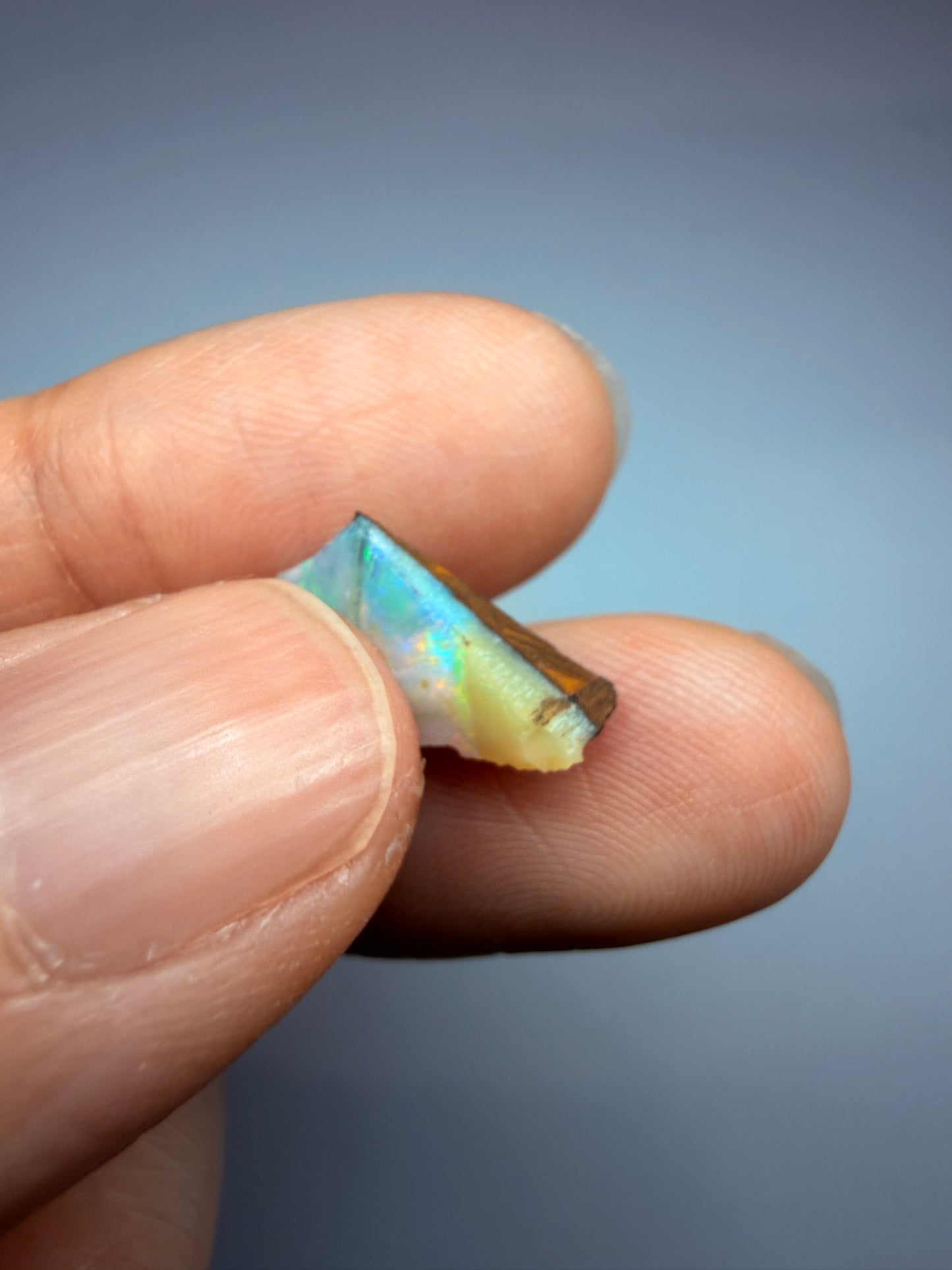 Boulder Opal Natural Single Split. 2.60 Carats