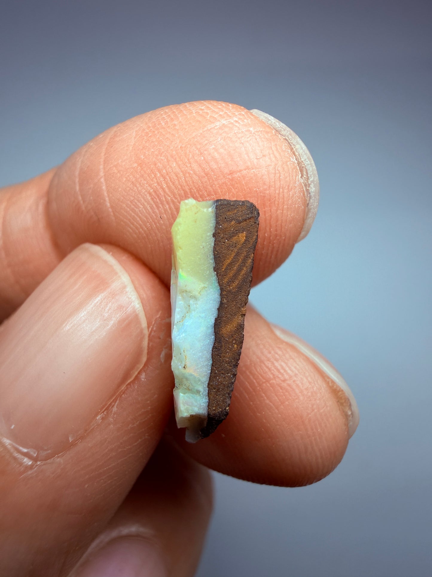 Boulder Opal Natural Single Split. 2.60 Carats