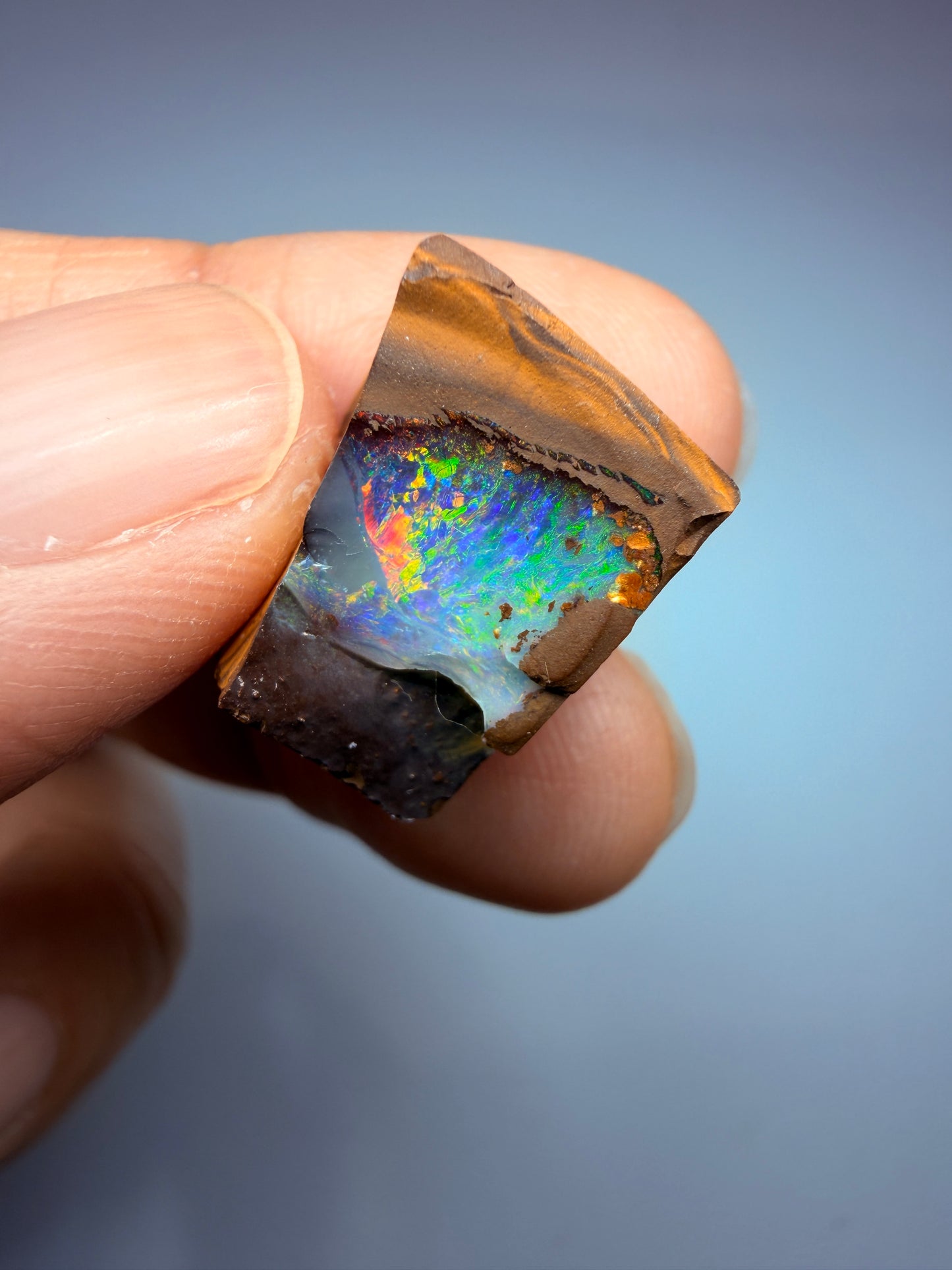 Boulder Opal Natural Single Split. 20.60 Carats