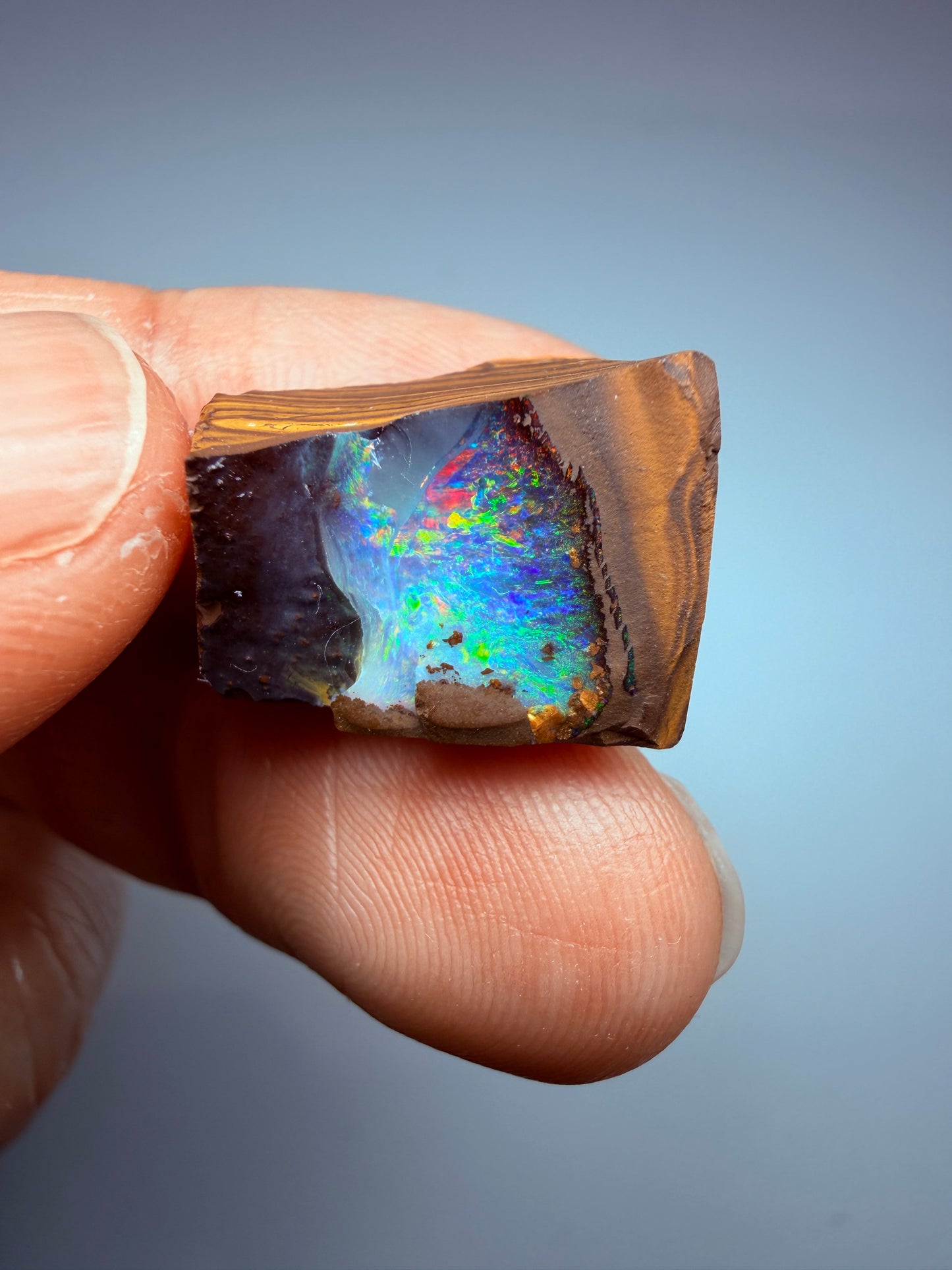 Boulder Opal Natural Single Split. 20.60 Carats