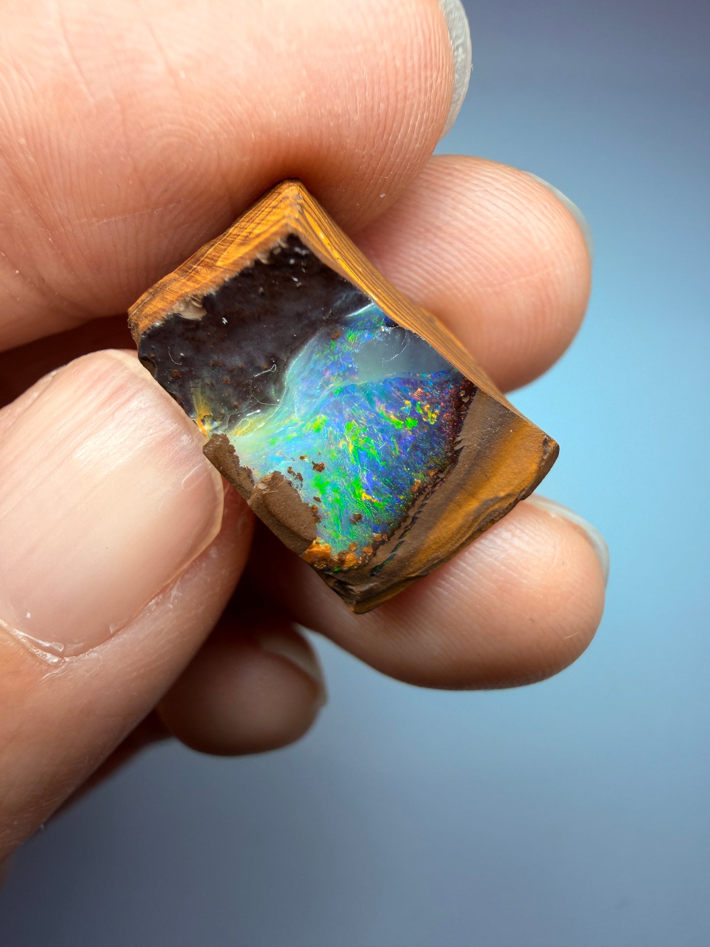 Boulder Opal Natural Single Split. 20.60 Carats