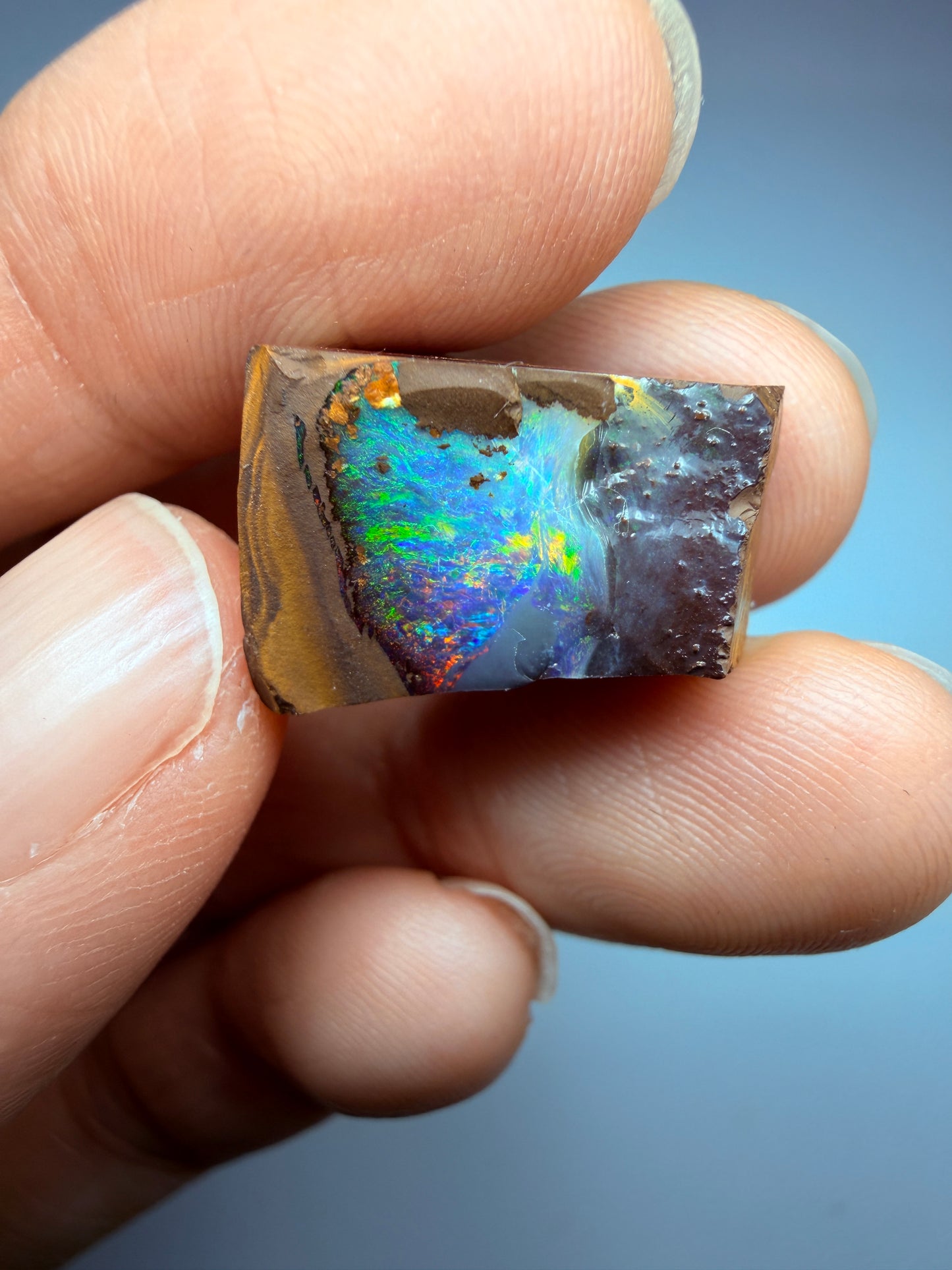 Boulder Opal Natural Single Split. 20.60 Carats