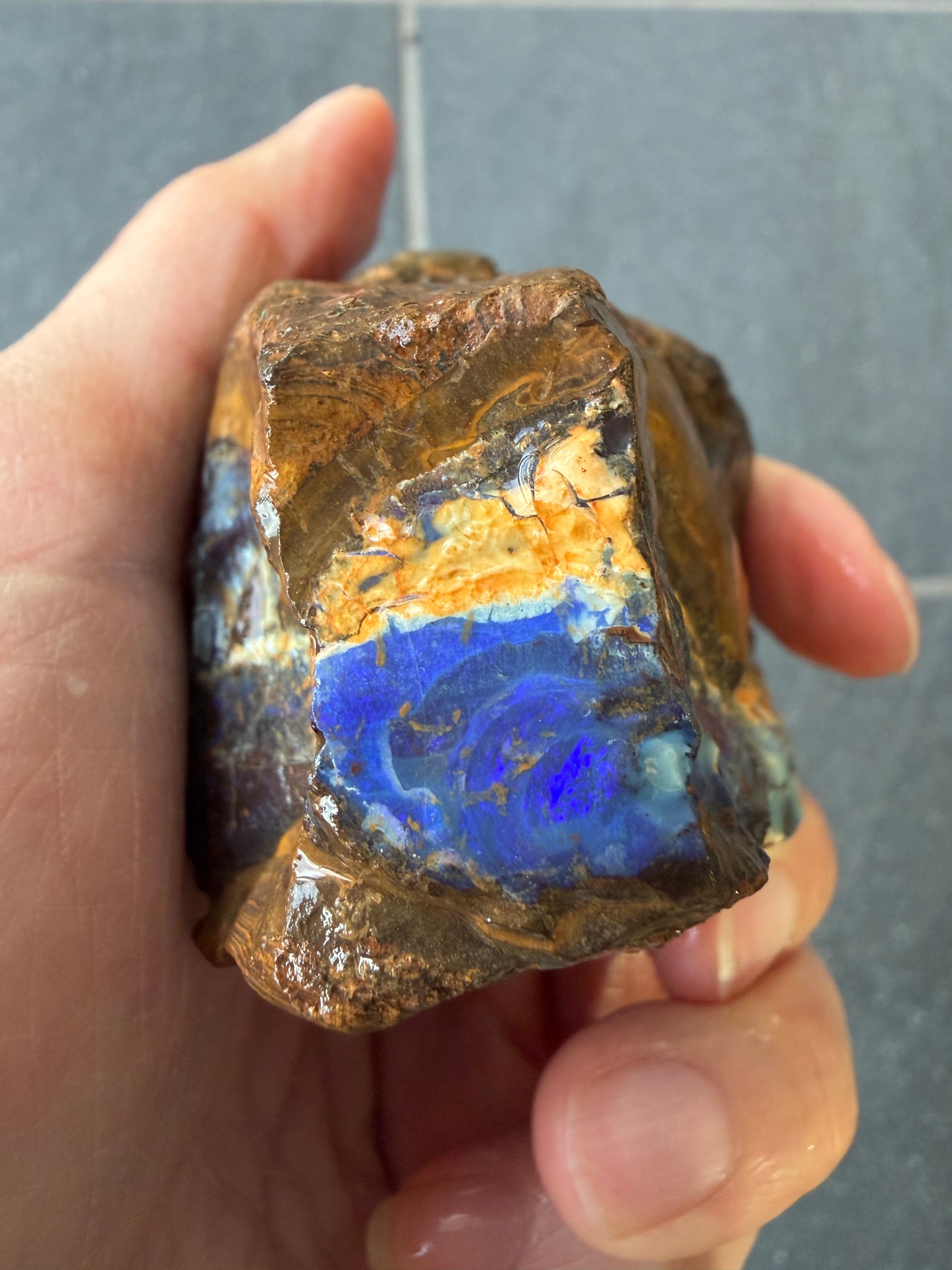 Opal 4 Ways. Rough Boulder Opal Rock. 194 Grams.