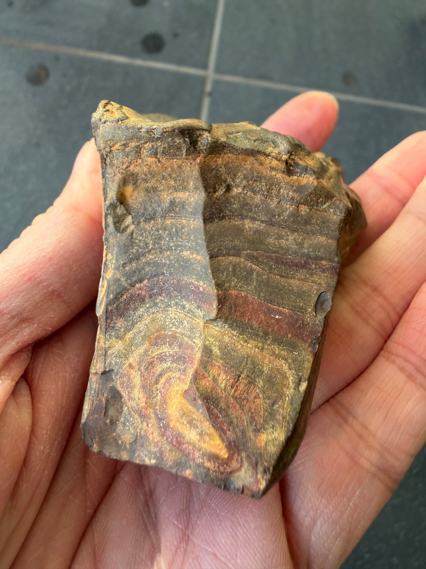 Sailing Ship. Rough Boulder Opal Rock. 175 Grams.