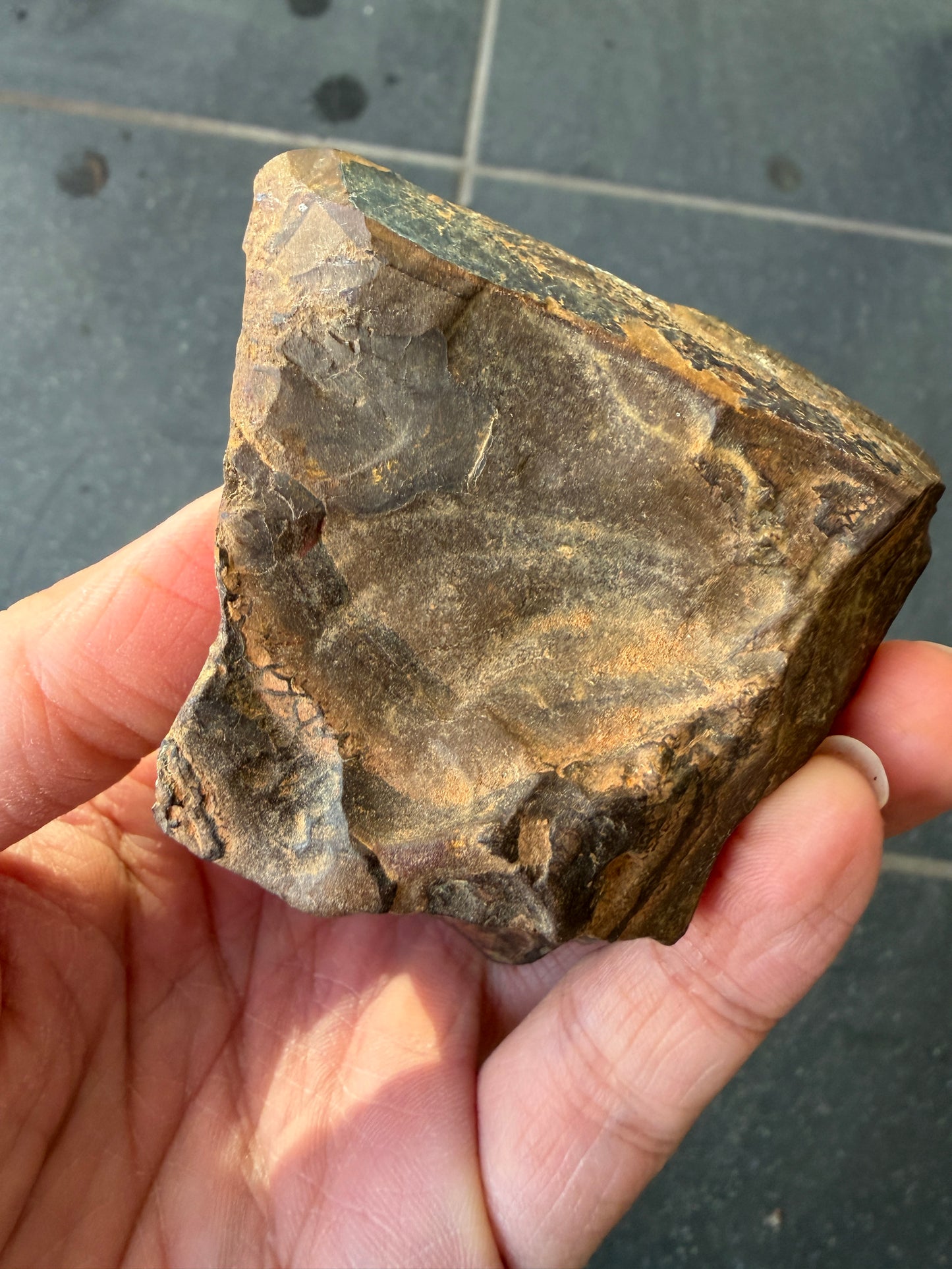 Sailing Ship. Rough Boulder Opal Rock. 175 Grams.