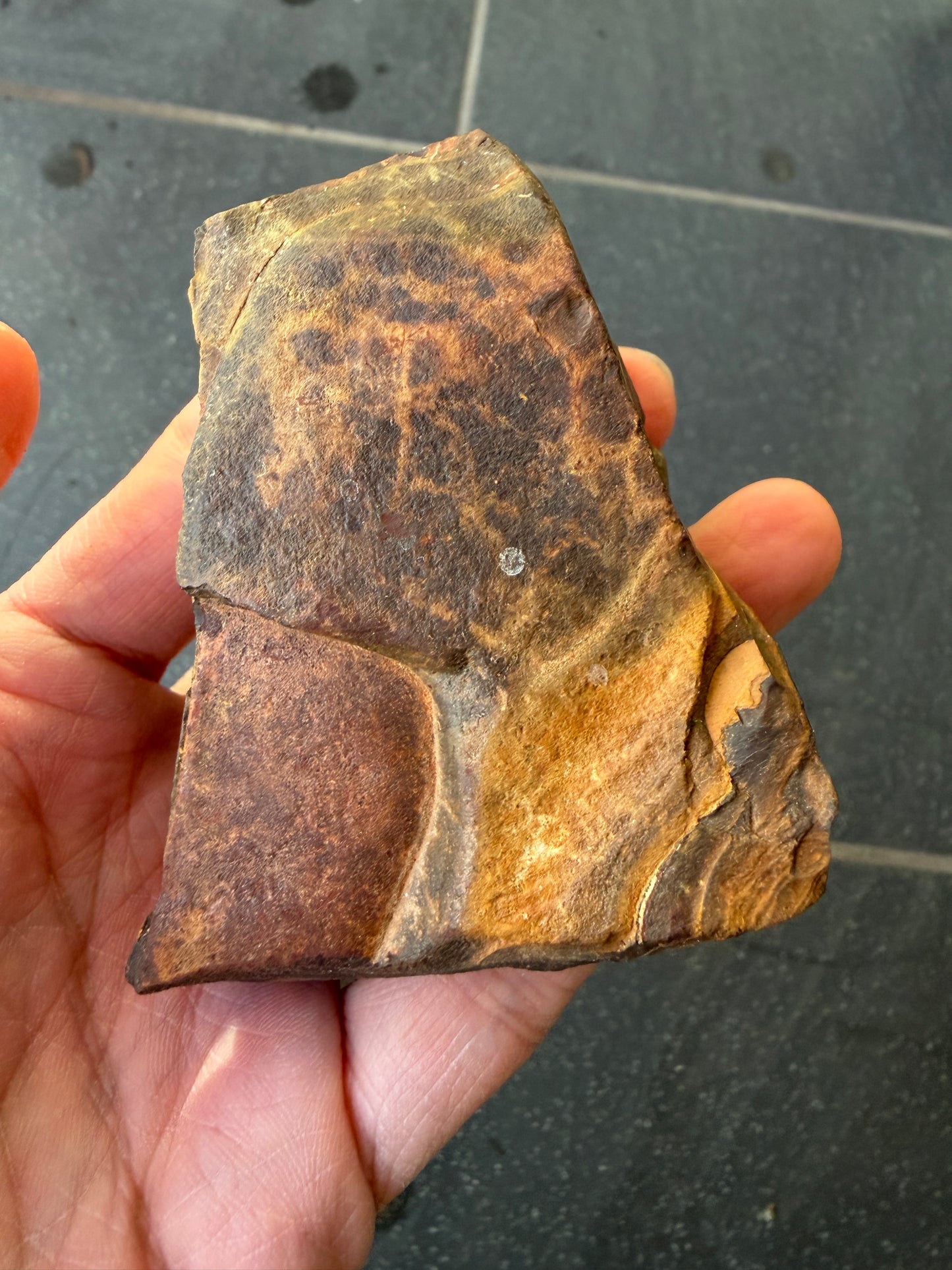 Sailing Ship. Rough Boulder Opal Rock. 175 Grams.