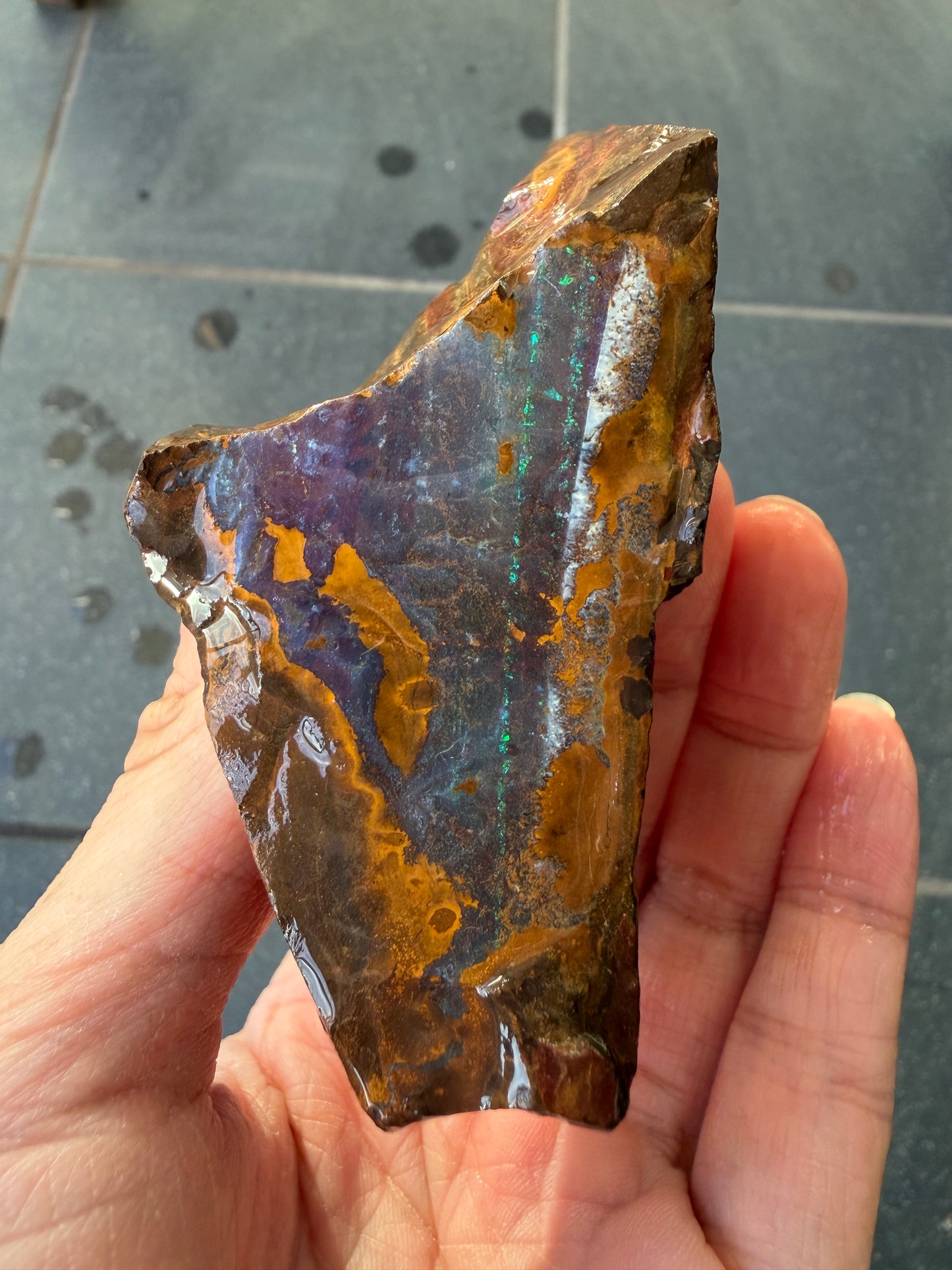 Sailing Ship. Rough Boulder Opal Rock. 175 Grams.