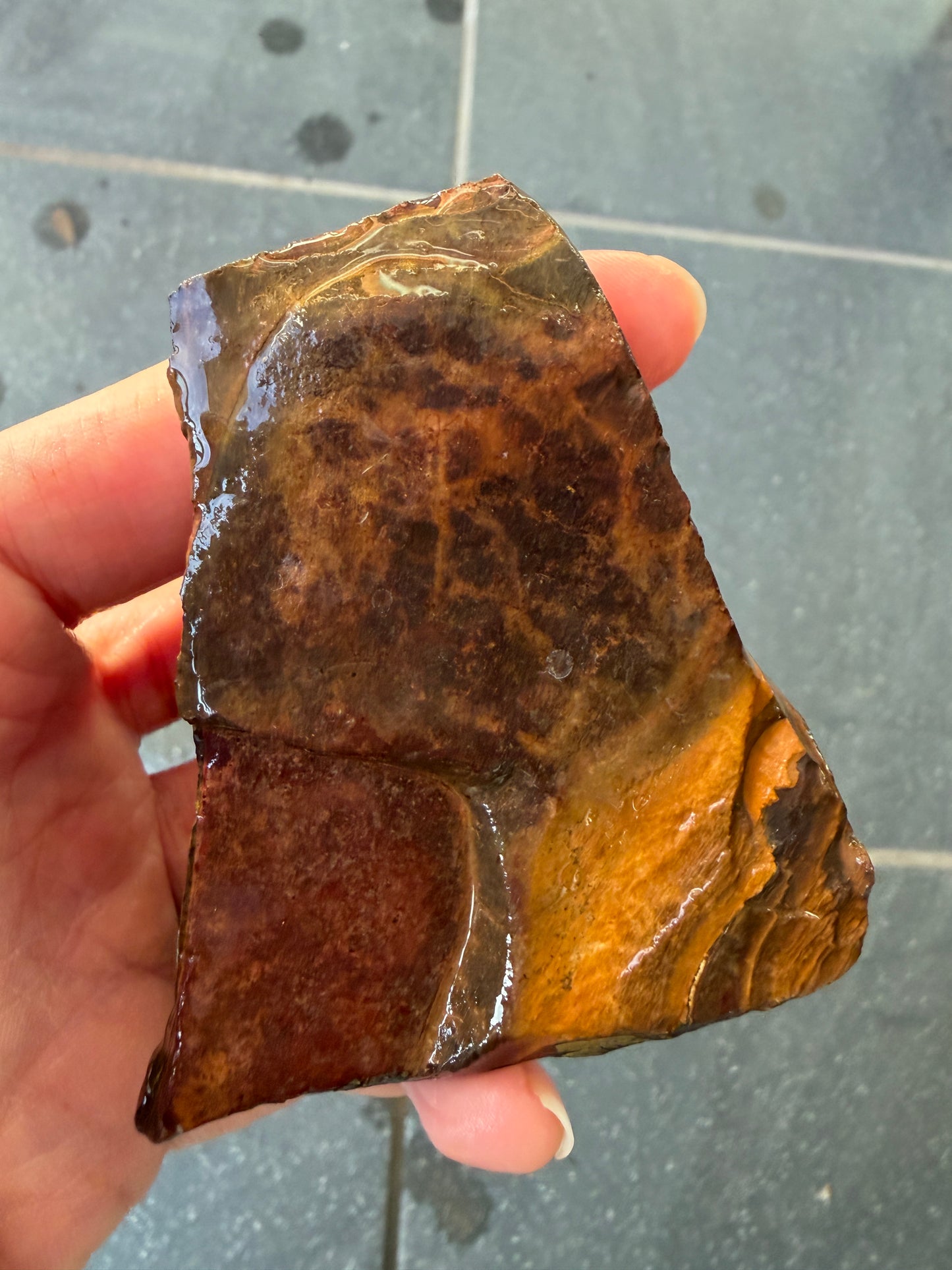 Sailing Ship. Rough Boulder Opal Rock. 175 Grams.