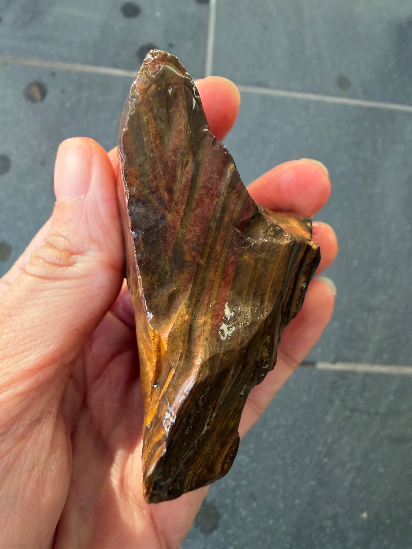 Sailing Ship. Rough Boulder Opal Rock. 175 Grams.