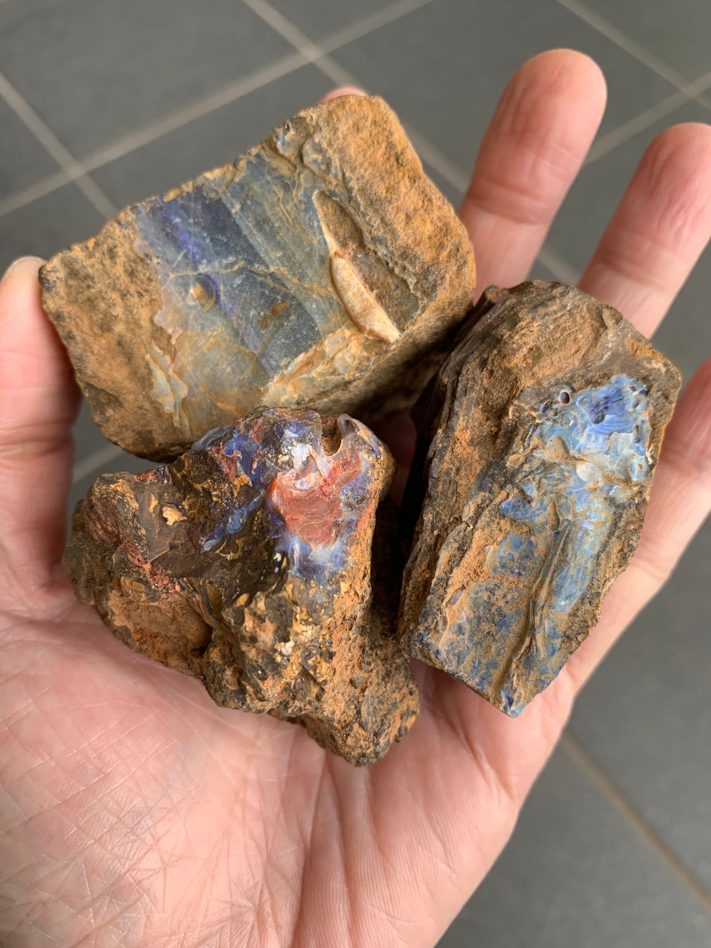 Bonus Rock + Starter Rocks. Rough Boulder Opal. 380 Grams.